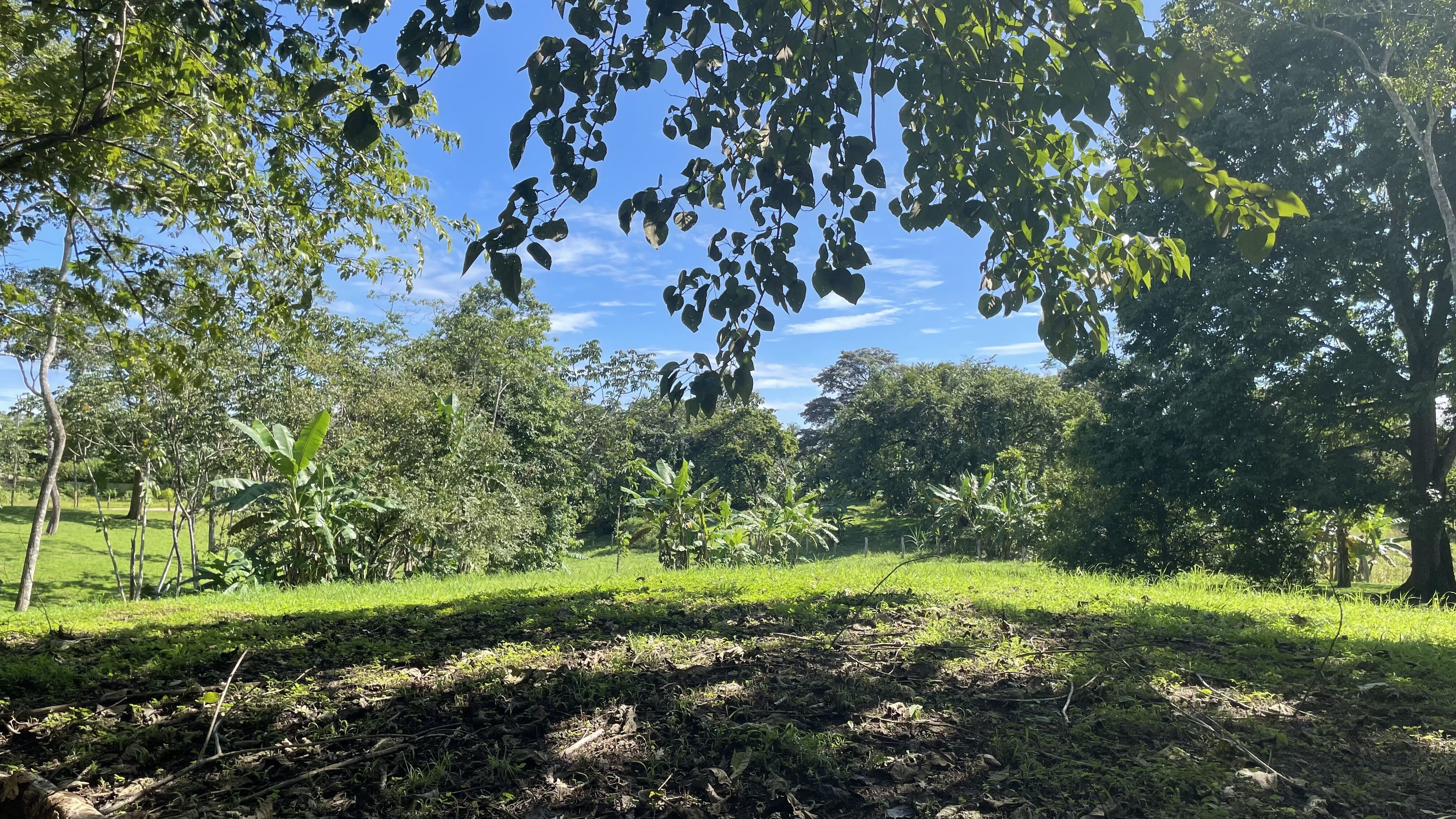 0 bed Land For Sale in Delicias, Puntarenas - thumb 20