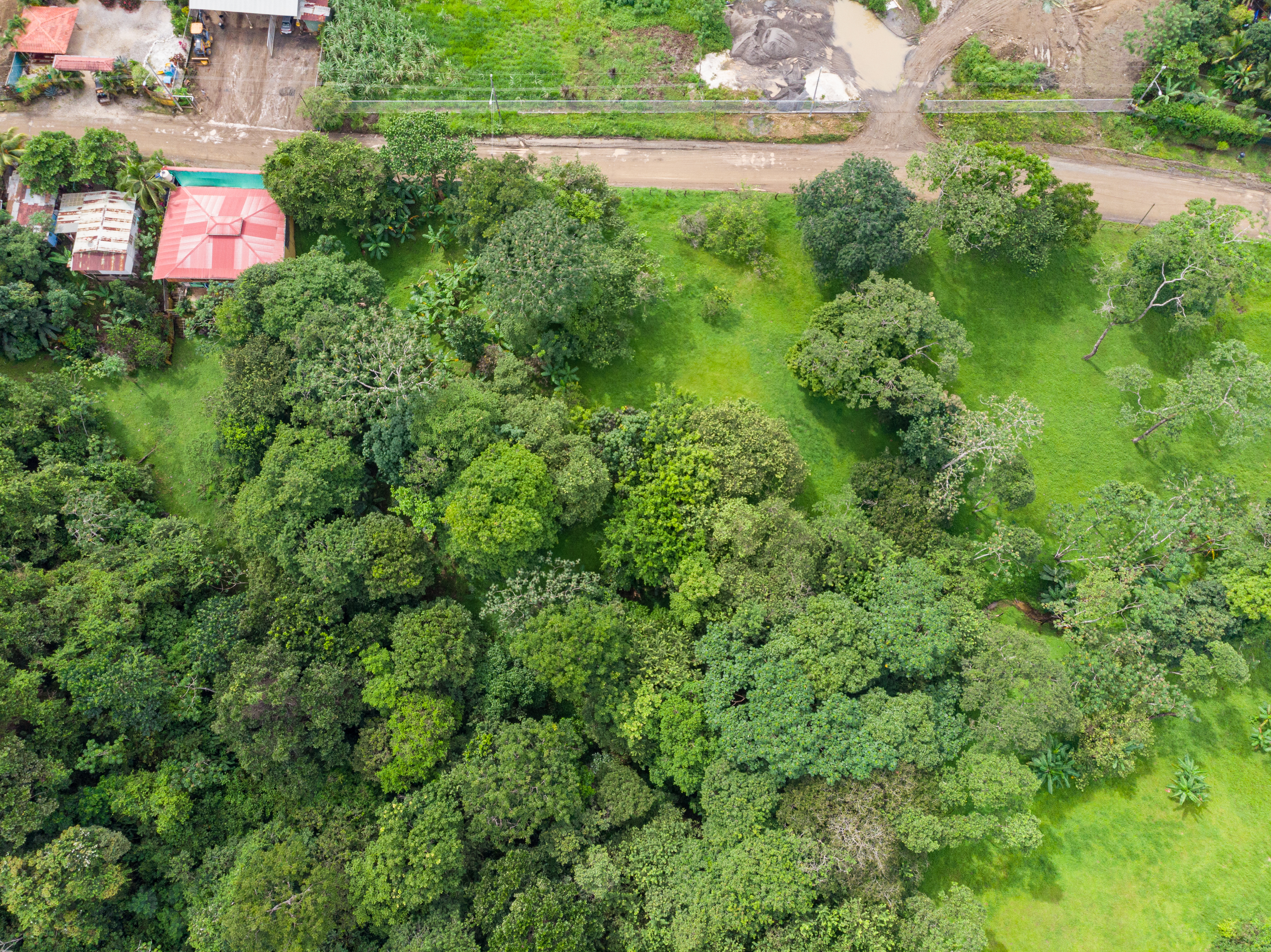 0 bed Land For Sale in Delicias, Puntarenas - thumb 1