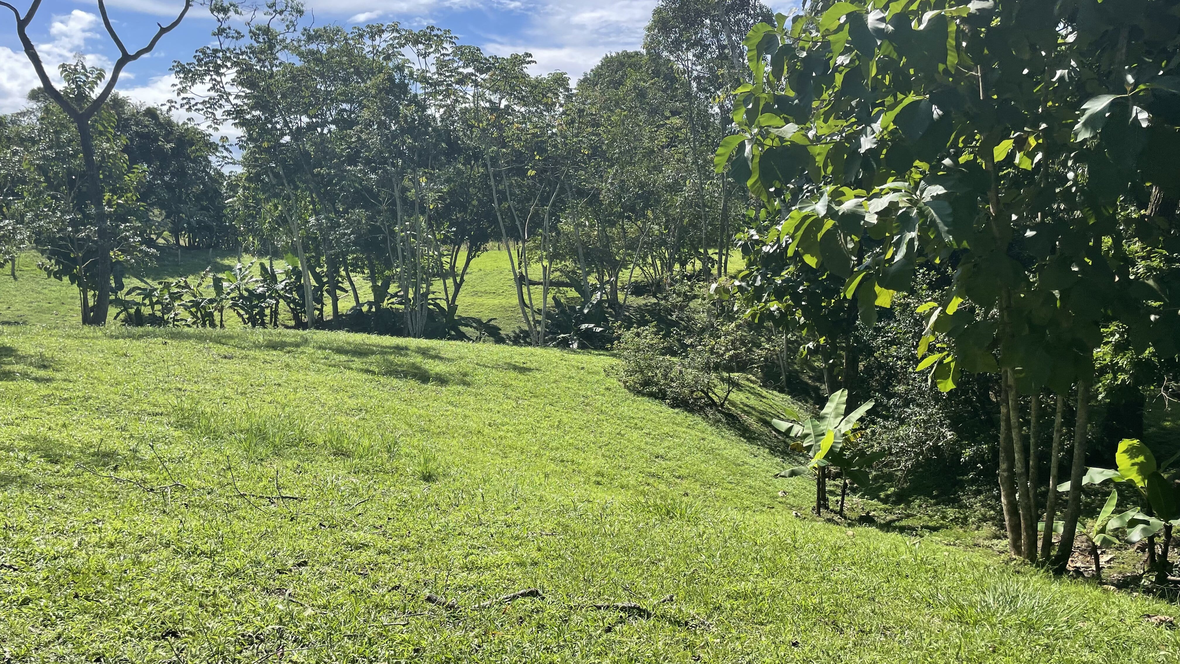 0 bed Land For Sale in Delicias, Puntarenas - thumb 15