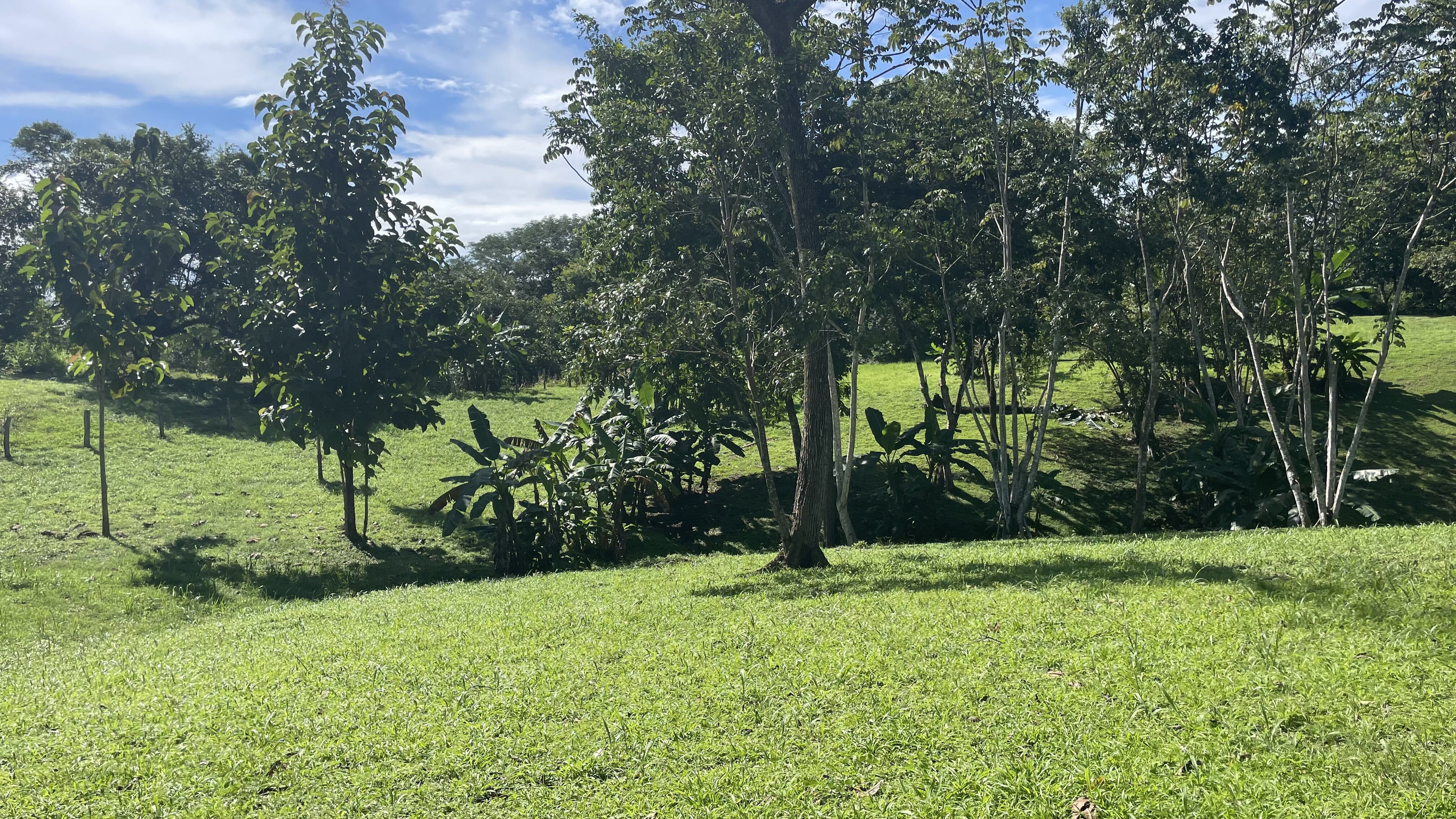 0 bed Land For Sale in Delicias, Puntarenas - thumb 17