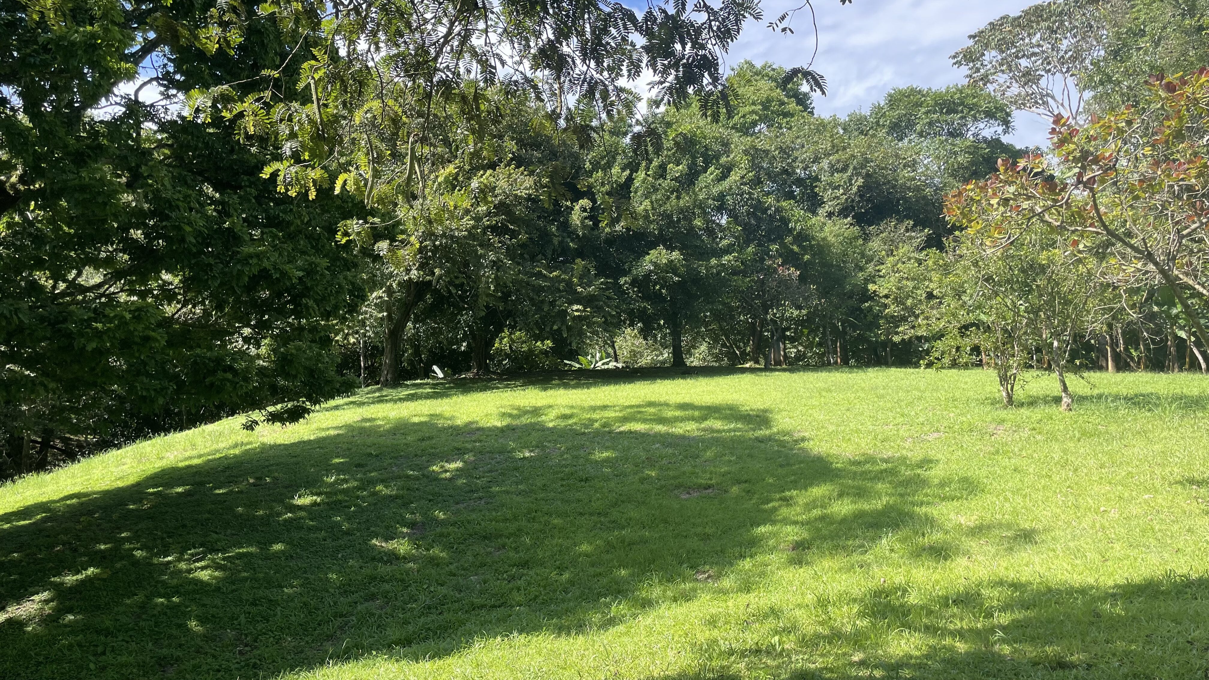 0 bed Land For Sale in Delicias, Puntarenas - thumb 14