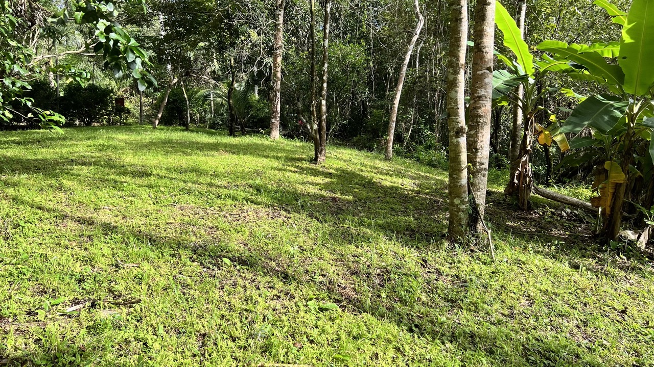 0 bed Land For Sale in Cobano, Puntarenas - thumb 3
