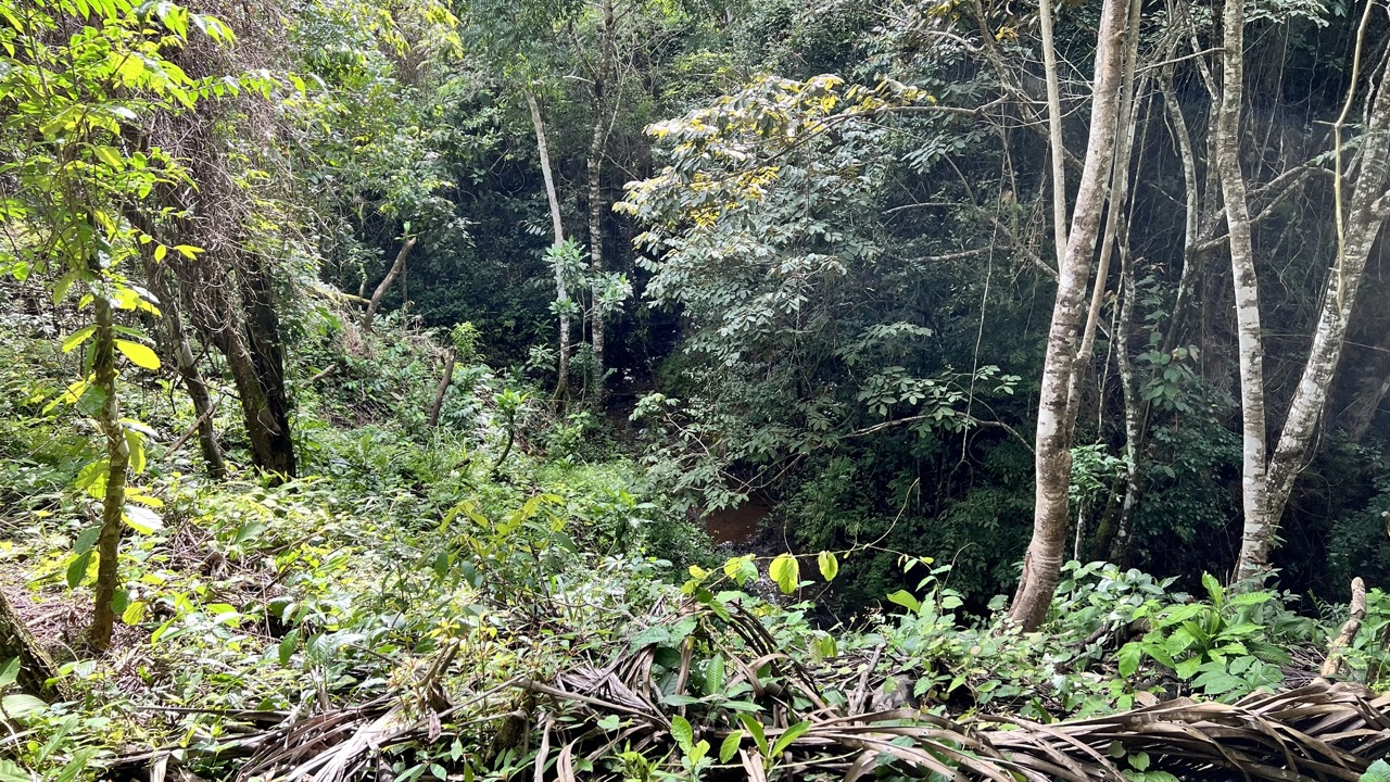 0 bed Land For Sale in Cobano, Puntarenas - thumb 6