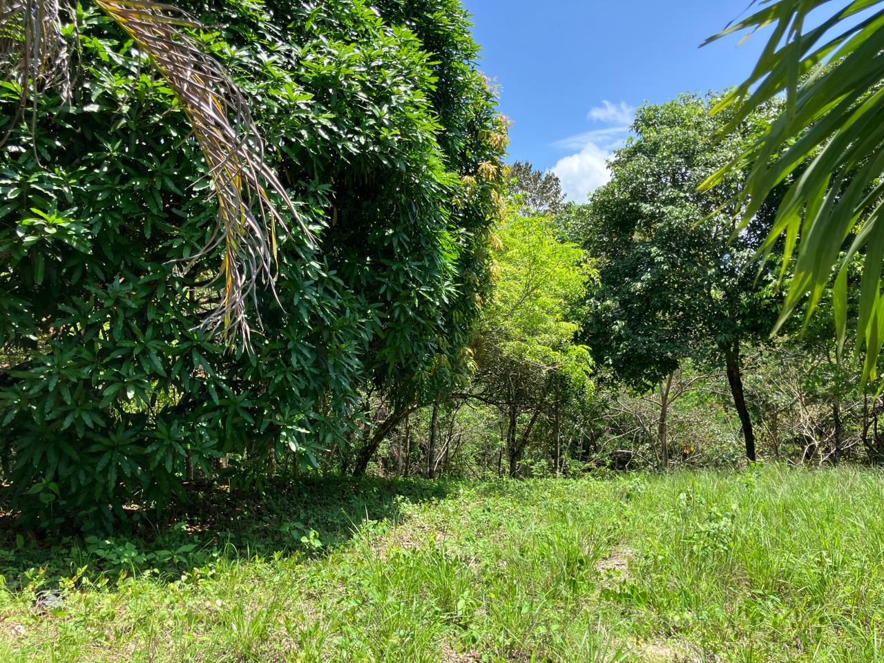 0 bed Land For Sale in Cobano, Puntarenas - thumb 3
