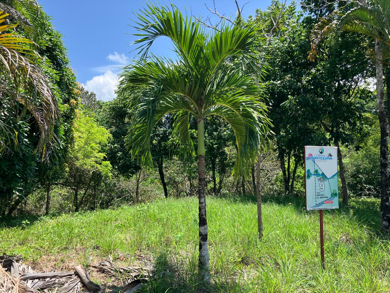 0 bed Land For Sale in Cobano, Puntarenas - thumb 2