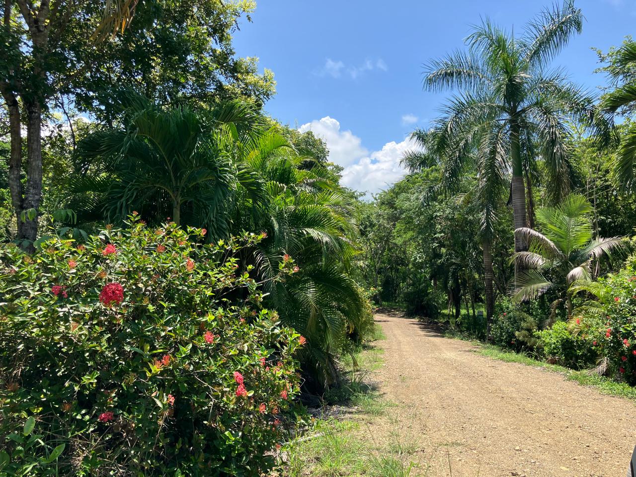 0 bed Land For Sale in Cobano, Puntarenas - thumb 1