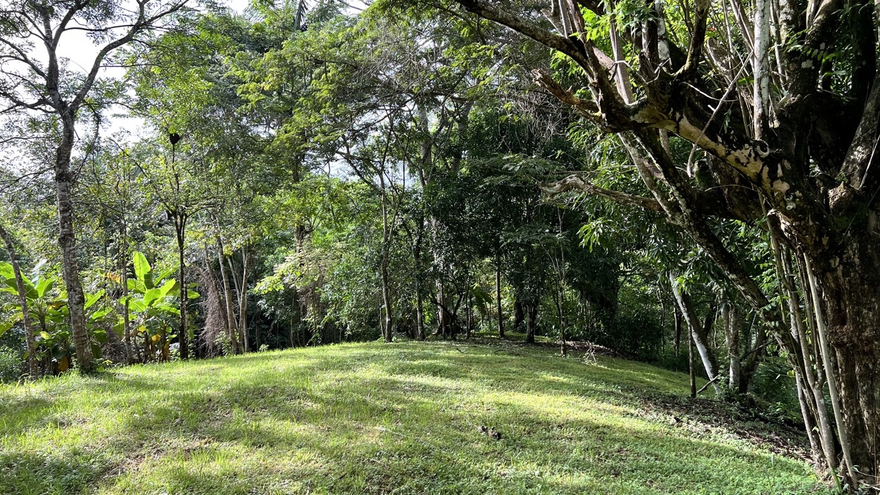 0 bed Land For Sale in Cobano, Puntarenas - thumb 5