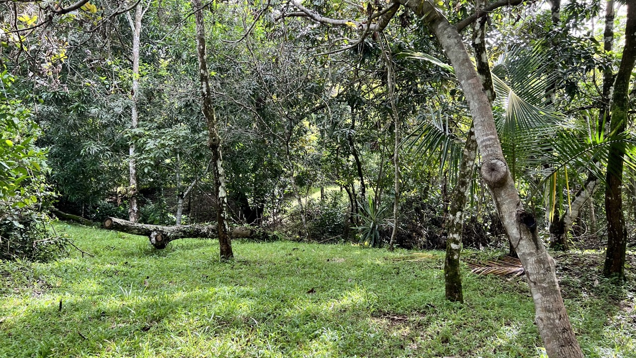 0 bed Land For Sale in Cobano, Puntarenas - thumb 1