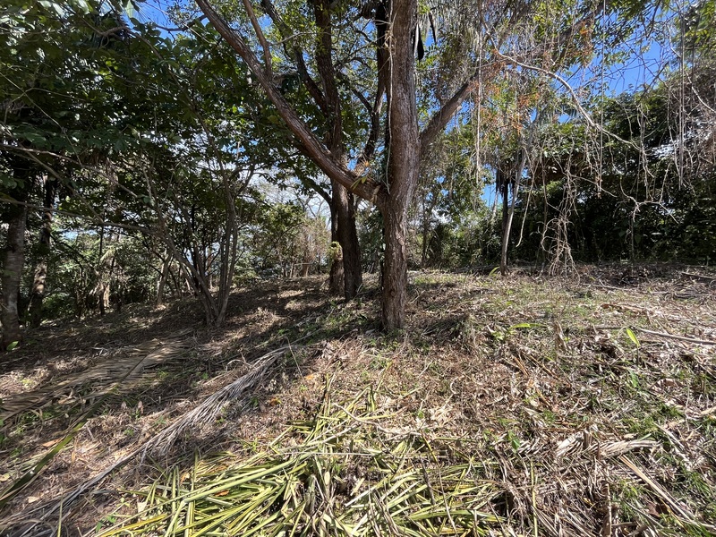 0 bed Land For Sale in Samara, Guanacaste - thumb 10