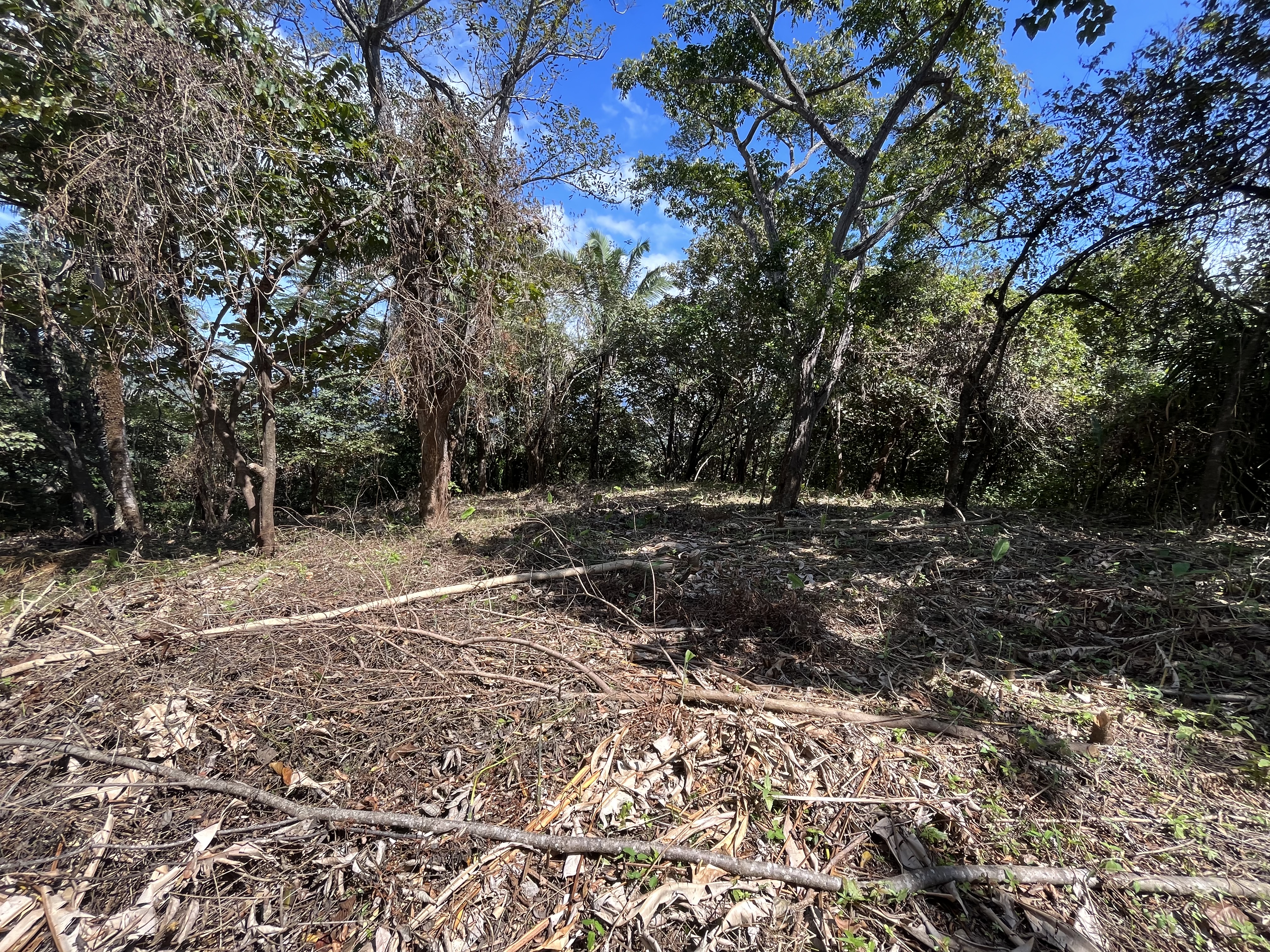 0 bed Land For Sale in Samara, Guanacaste - thumb 12