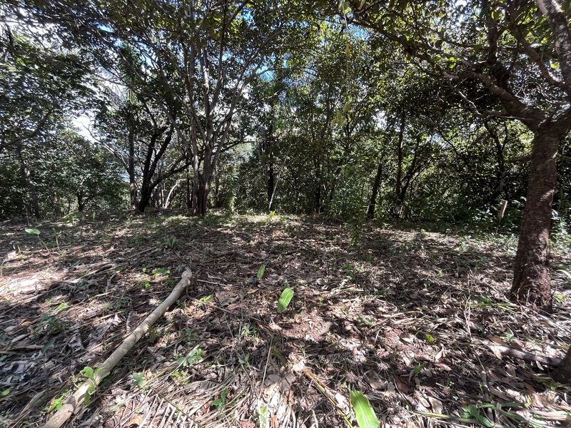 0 bed Land For Sale in Samara, Guanacaste - thumb 13