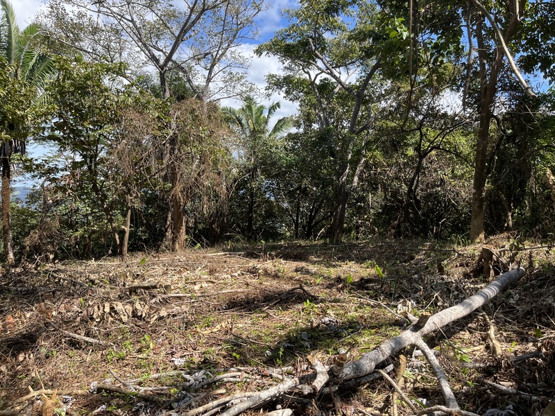 0 bed Land For Sale in Samara, Guanacaste - thumb 4