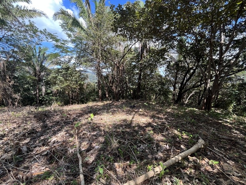 0 bed Land For Sale in Samara, Guanacaste - thumb 14