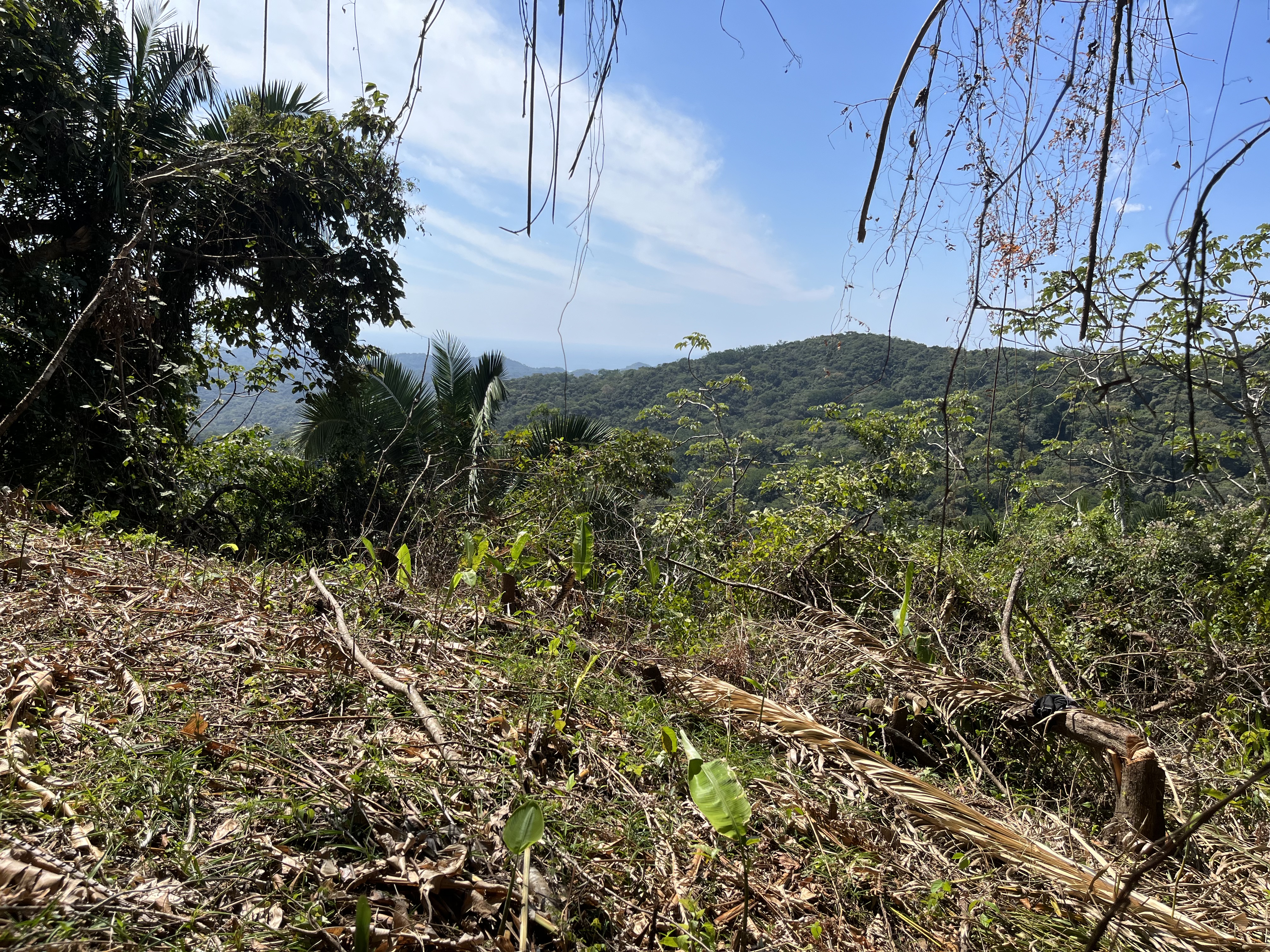 0 bed Land For Sale in Samara, Guanacaste - thumb 5