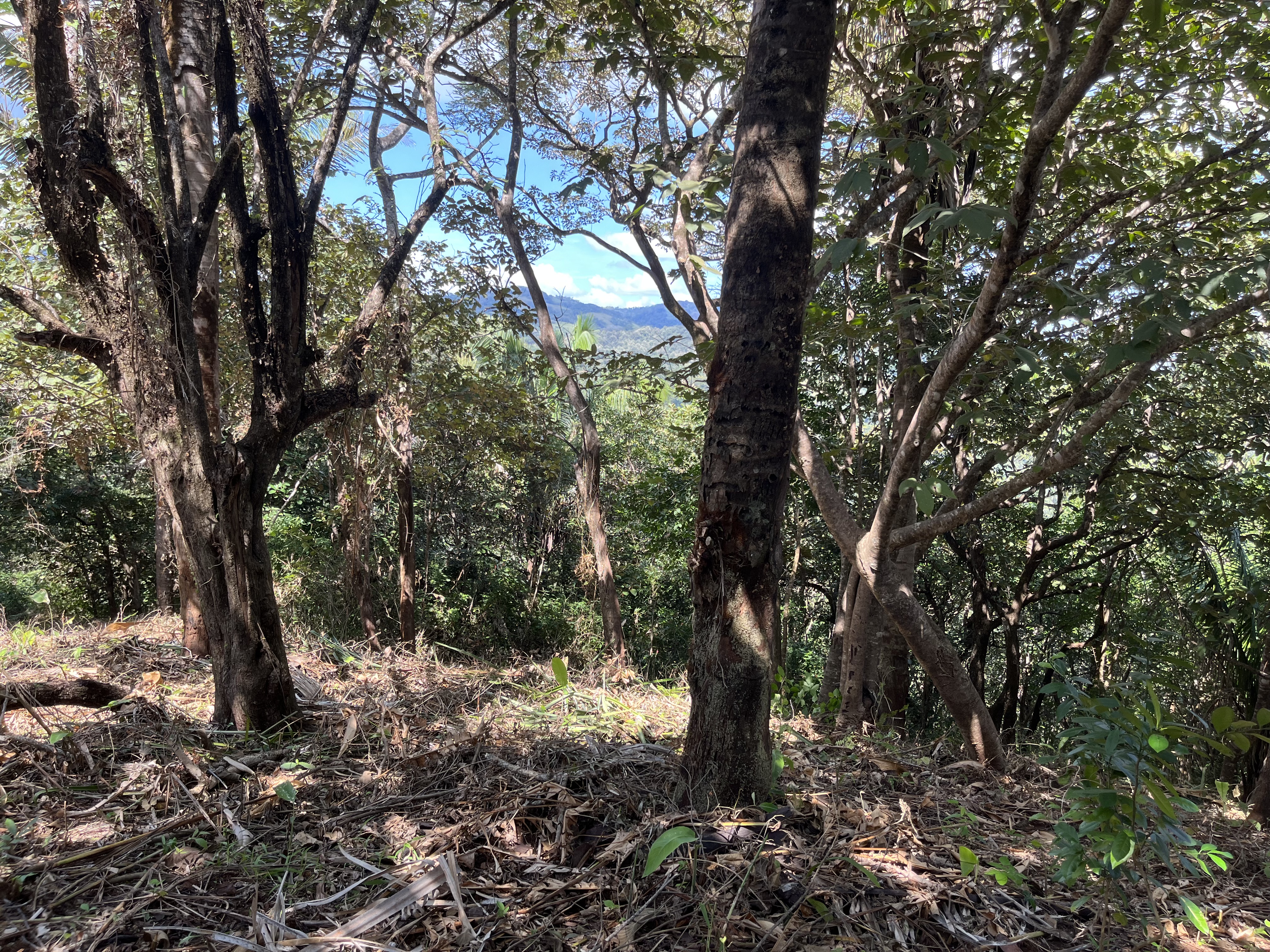 0 bed Land For Sale in Samara, Guanacaste - thumb 15
