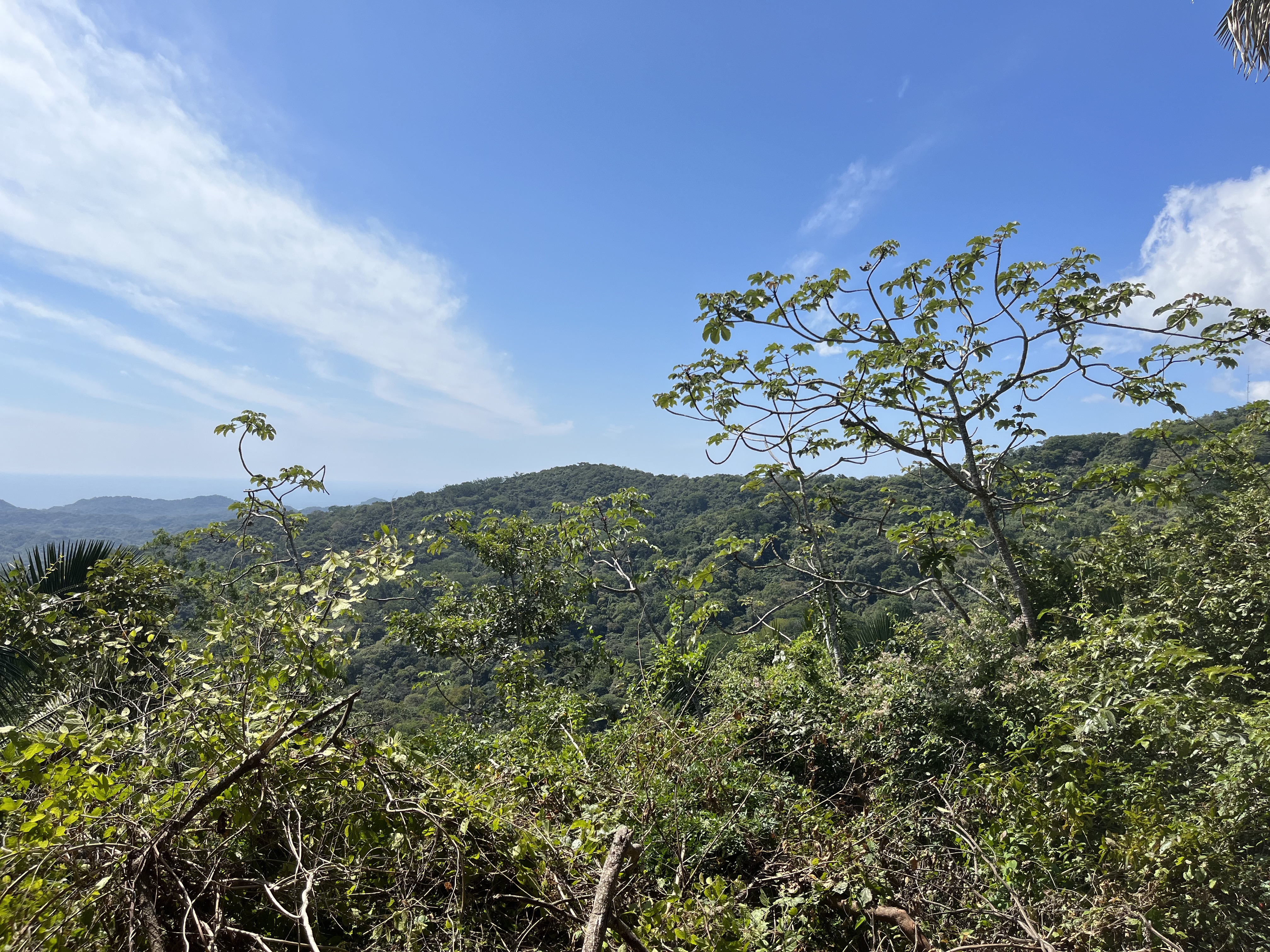 0 bed Land For Sale in Samara, Guanacaste - thumb 7