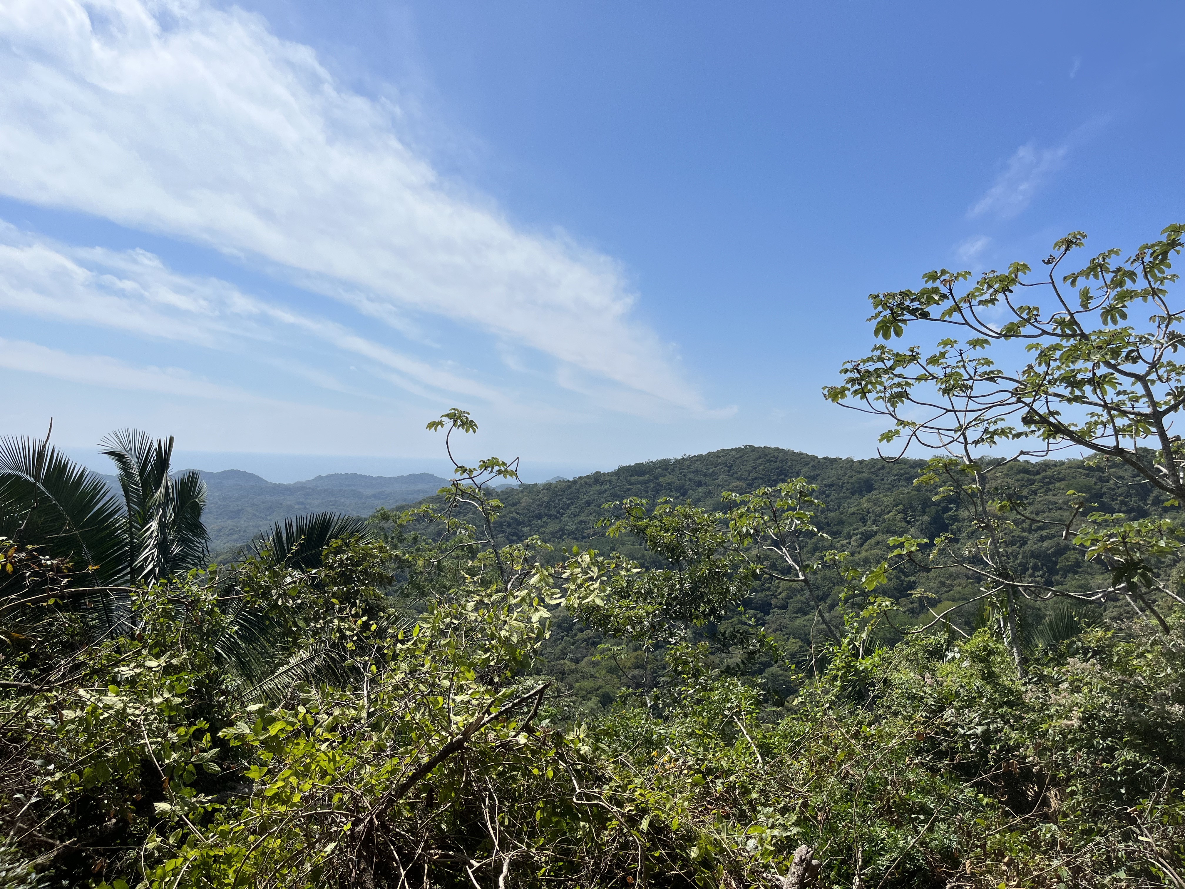 0 bed Land For Sale in Samara, Guanacaste - thumb 6