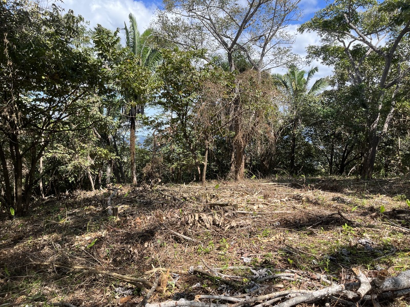 0 bed Land For Sale in Samara, Guanacaste - thumb 3