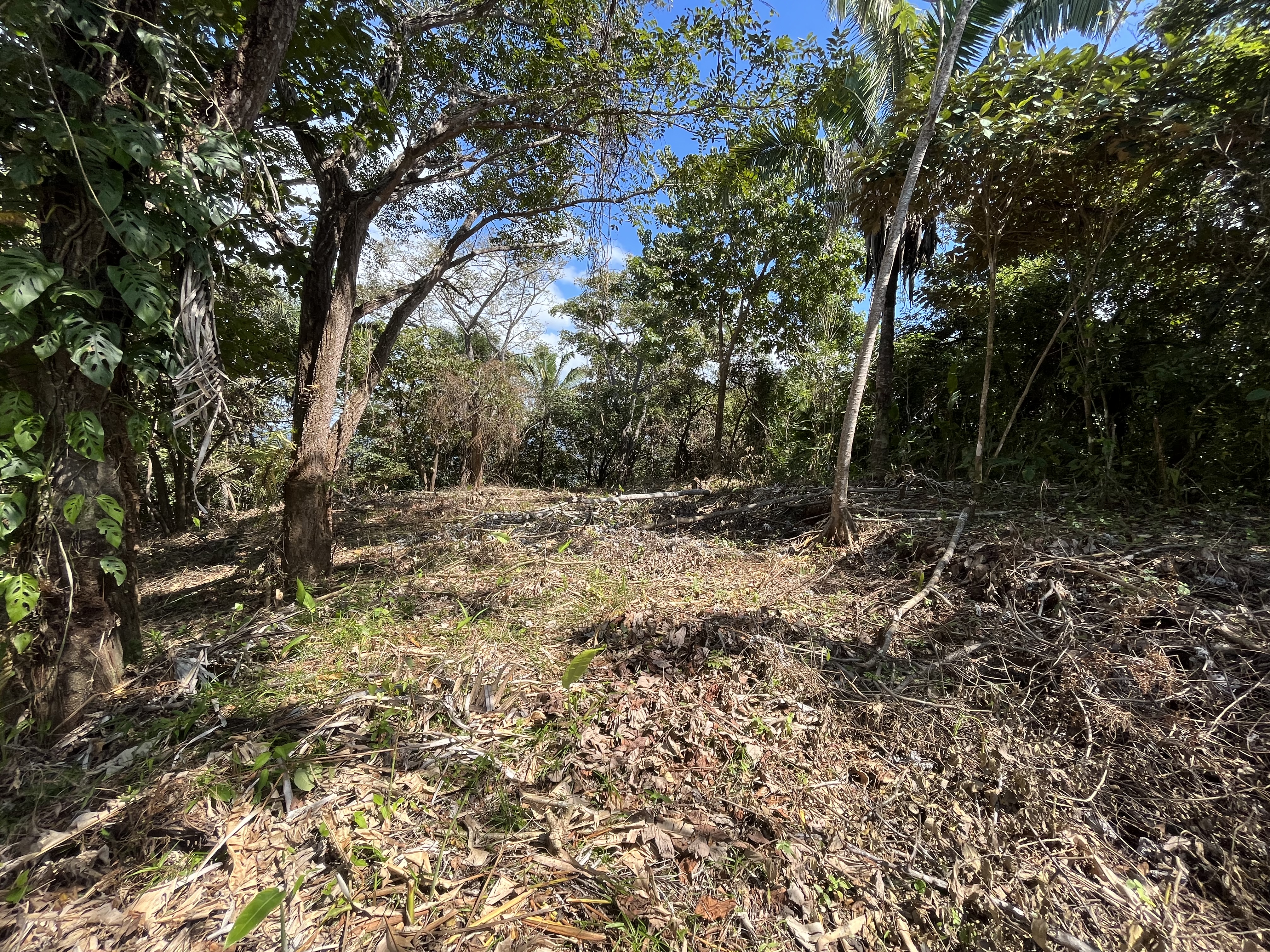 0 bed Land For Sale in Samara, Guanacaste - thumb 11