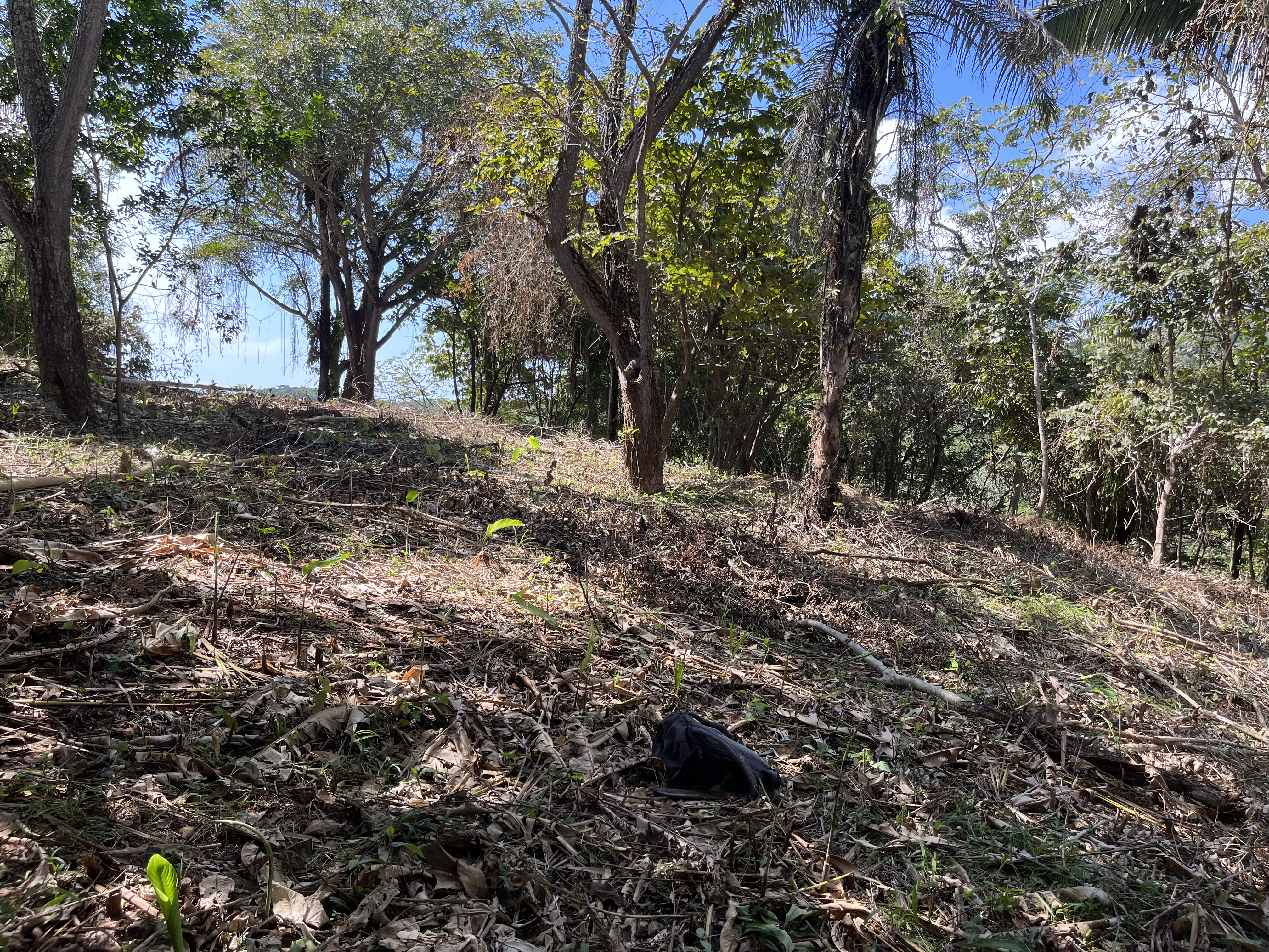 0 bed Land For Sale in Samara, Guanacaste - thumb 17