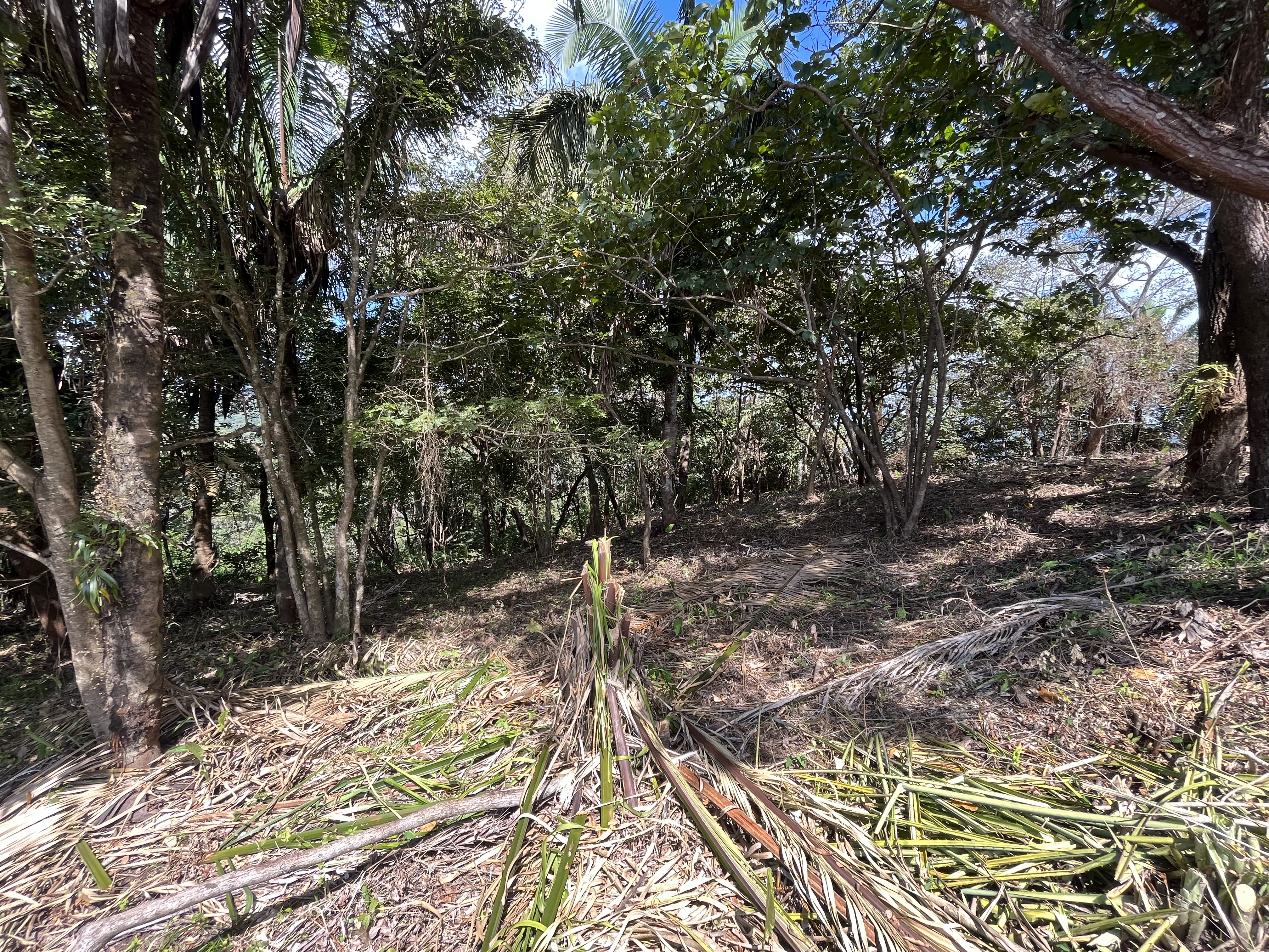 0 bed Land For Sale in Samara, Guanacaste - thumb 8