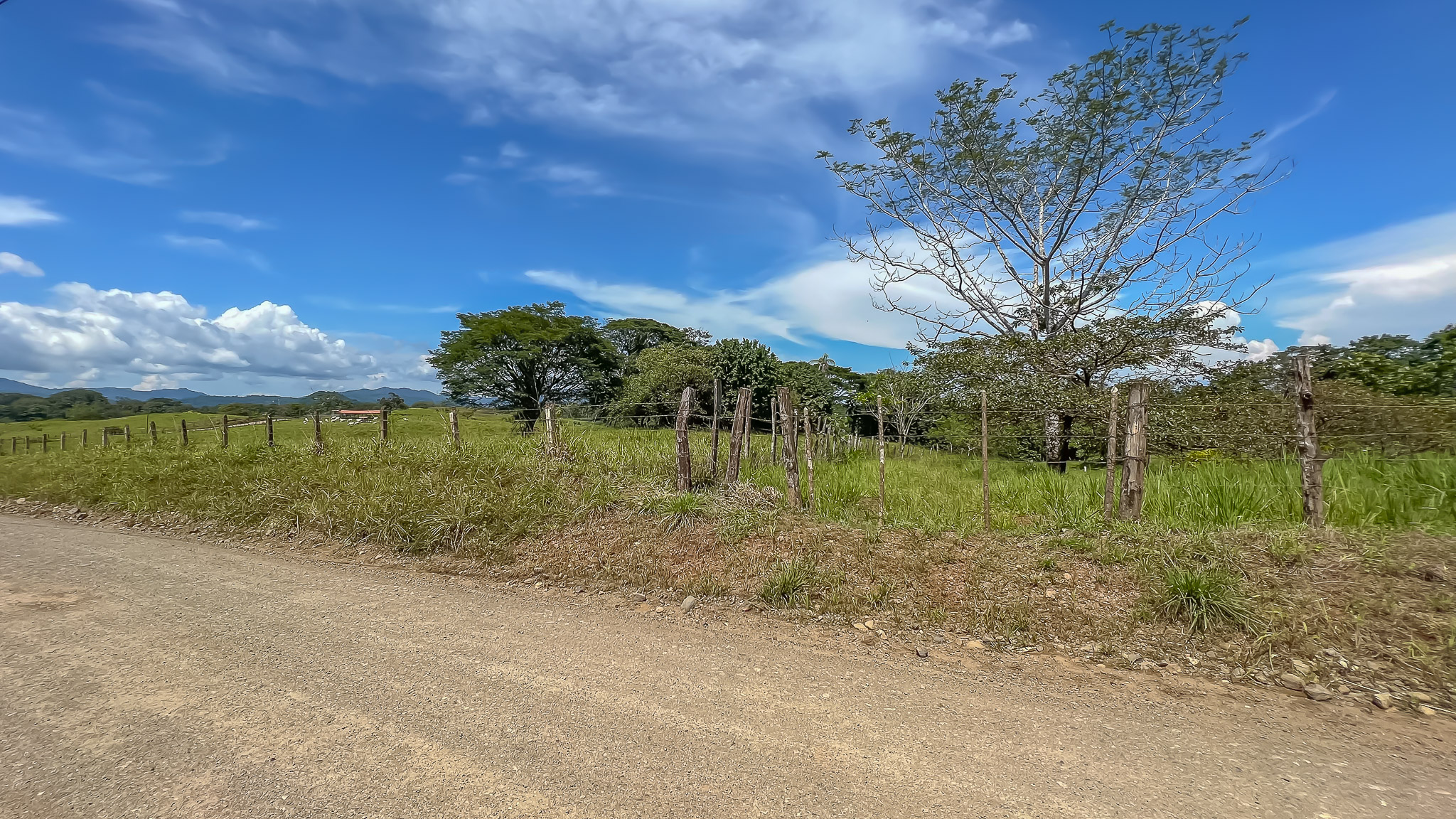 0 bed Land For Sale in Delicias, Puntarenas - thumb 16