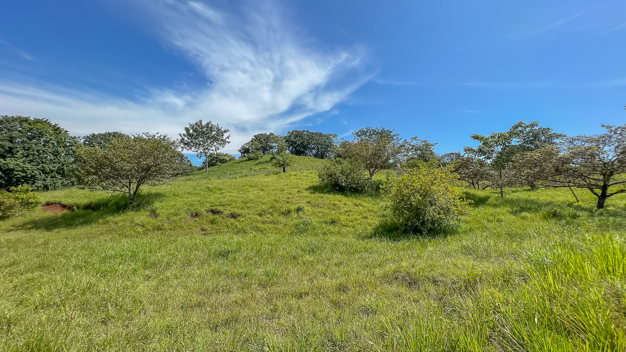 0 bed Land For Sale in Delicias, Puntarenas - thumb 3