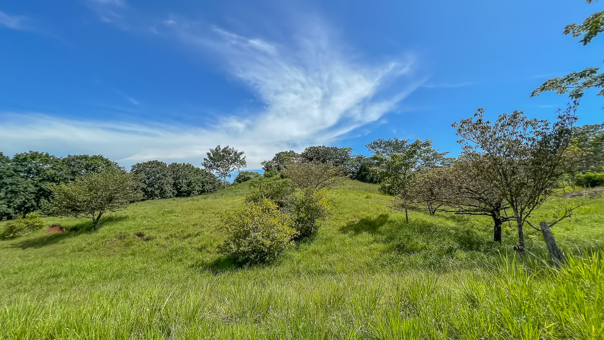 0 bed Land For Sale in Delicias, Puntarenas - thumb 6