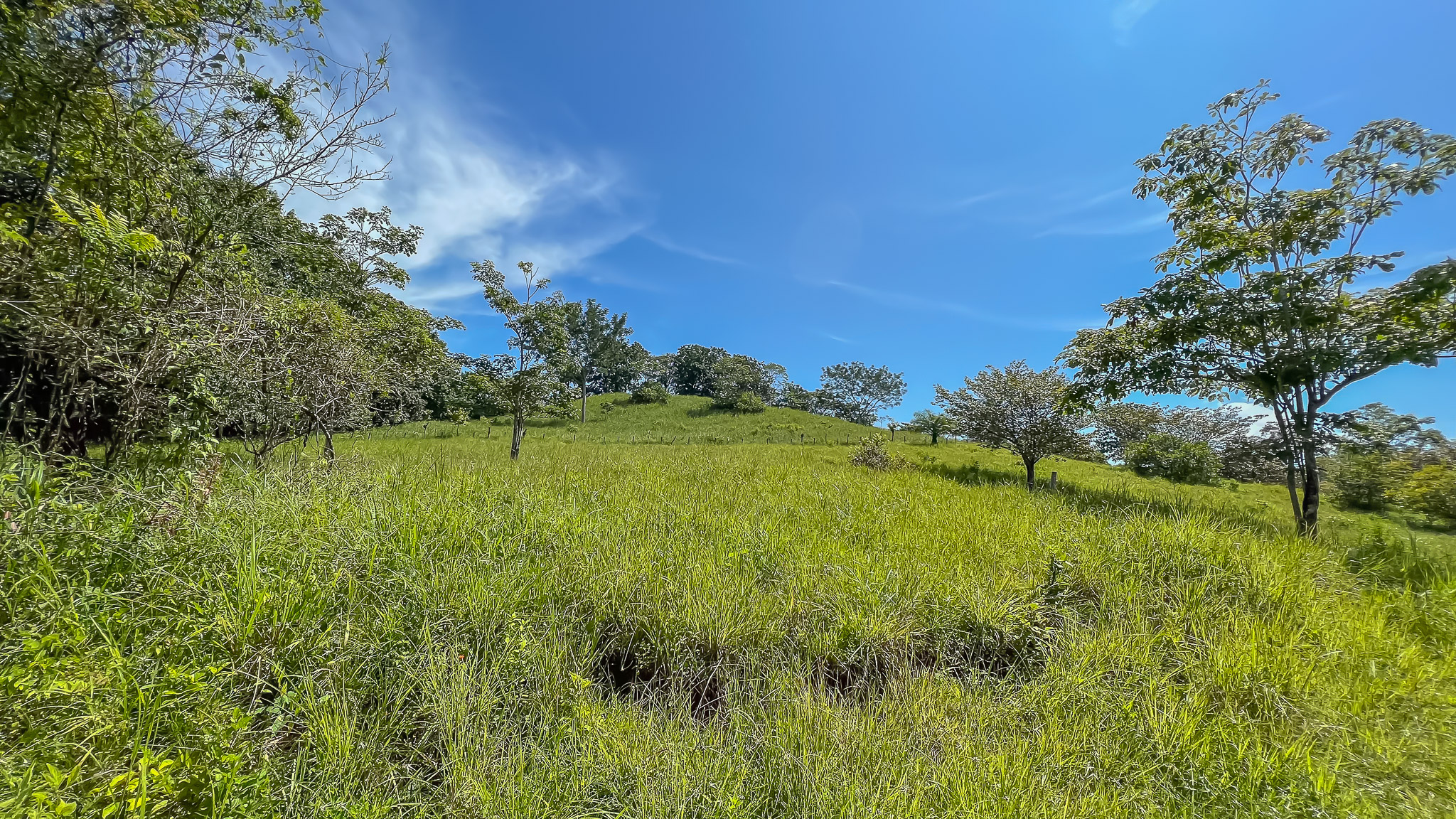 0 bed Land For Sale in Delicias, Puntarenas - thumb 19