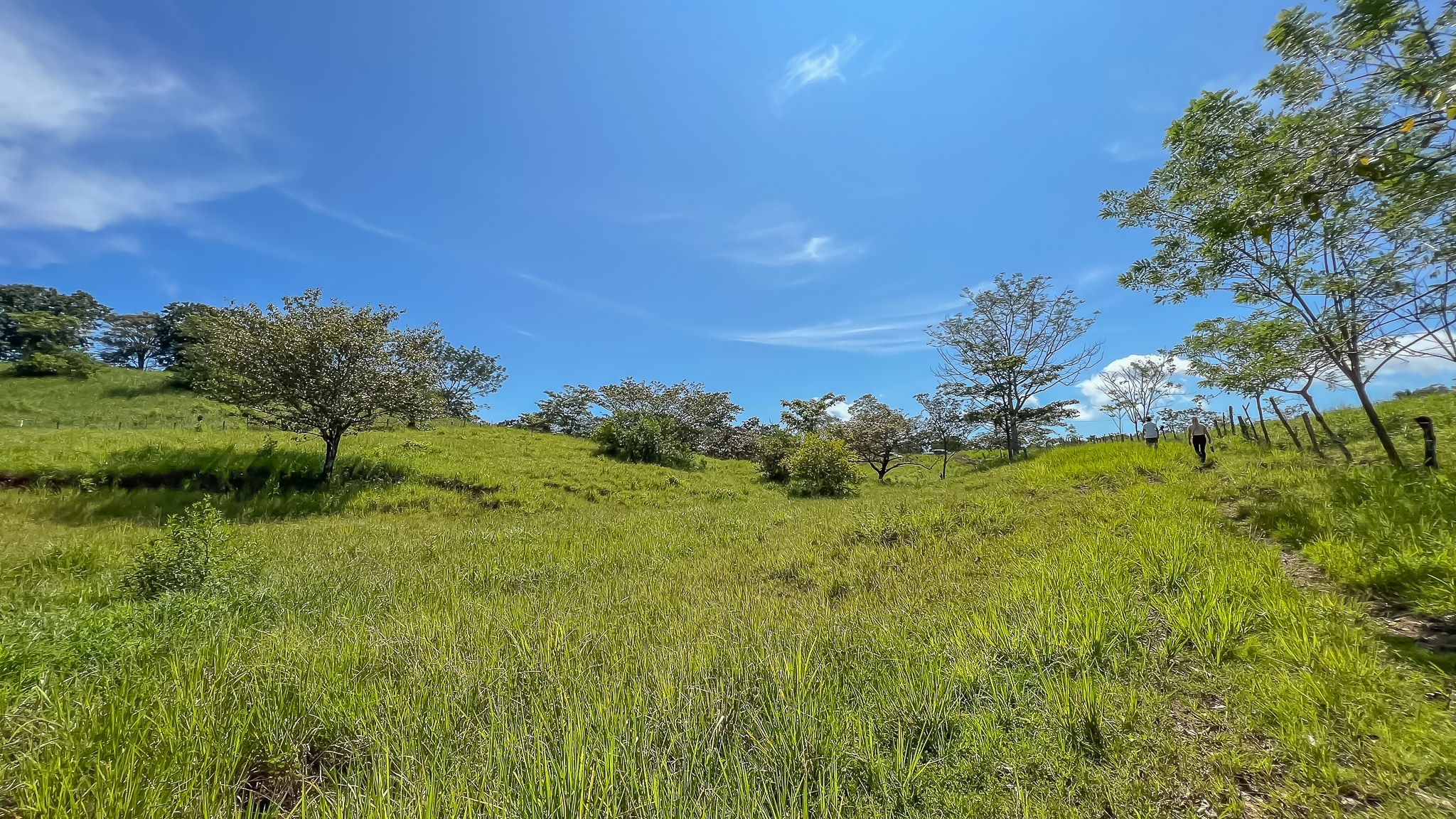0 bed Land For Sale in Delicias, Puntarenas - thumb 1