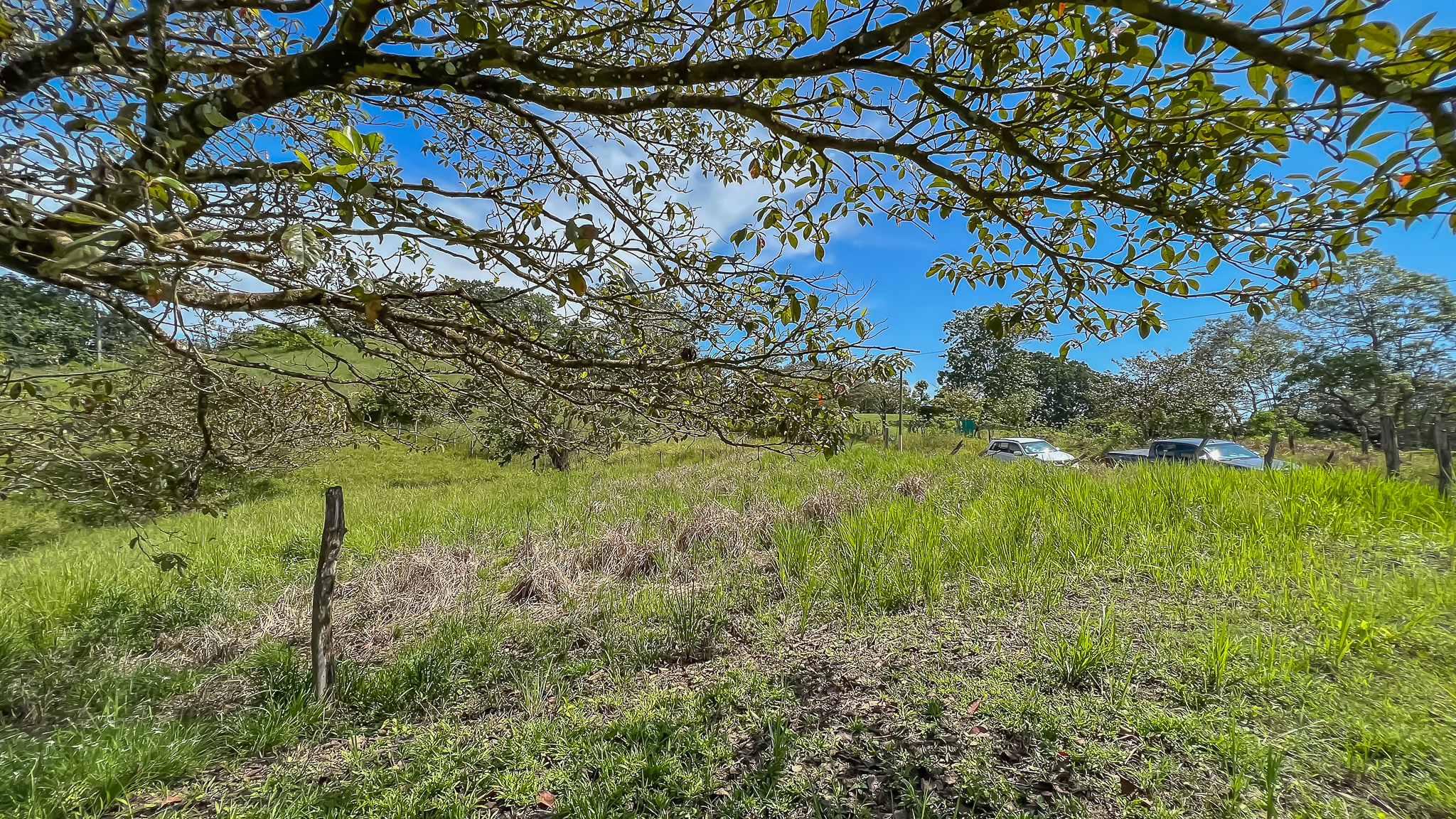 0 bed Land For Sale in Delicias, Puntarenas - thumb 10