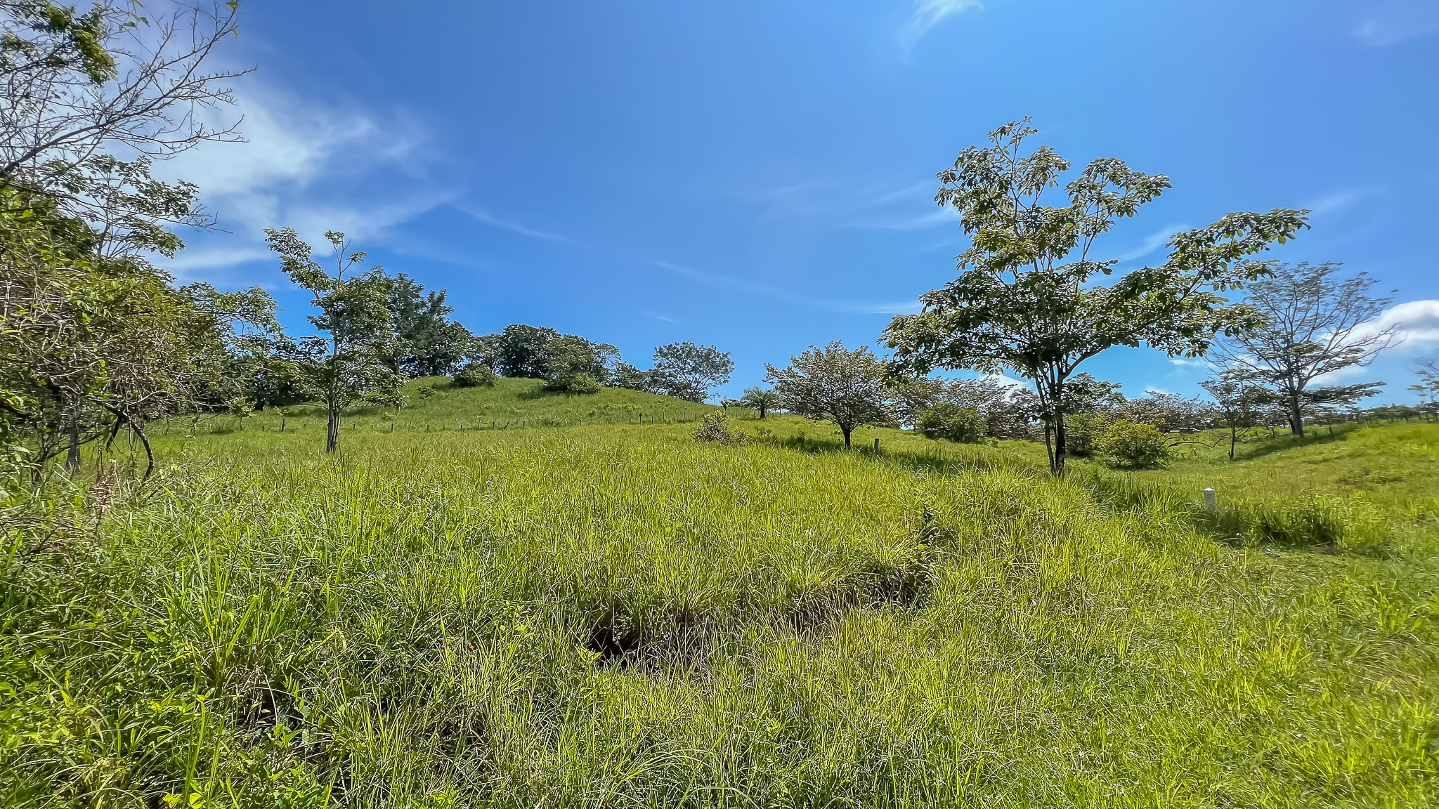 0 bed Land For Sale in Delicias, Puntarenas - thumb 18