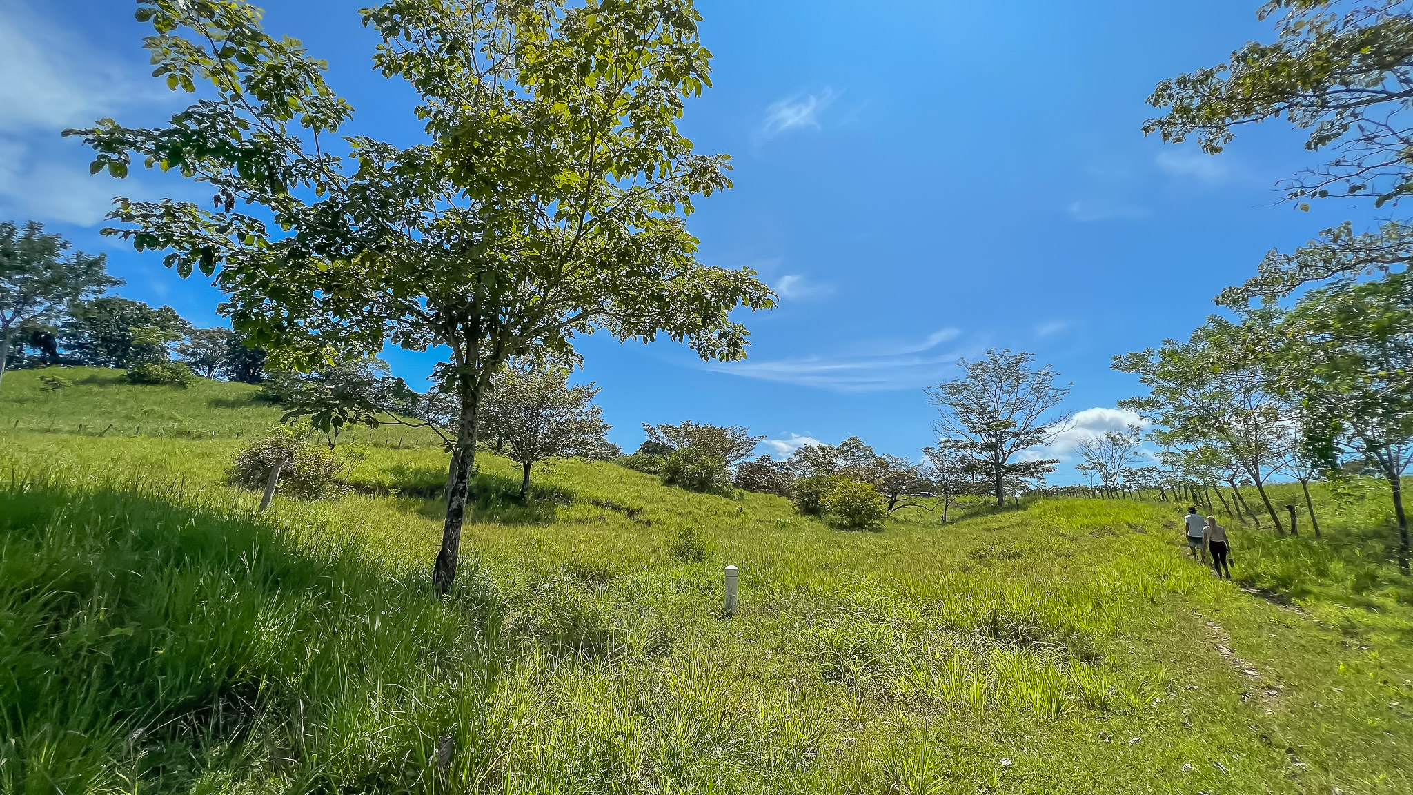 0 bed Land For Sale in Delicias, Puntarenas - thumb 20