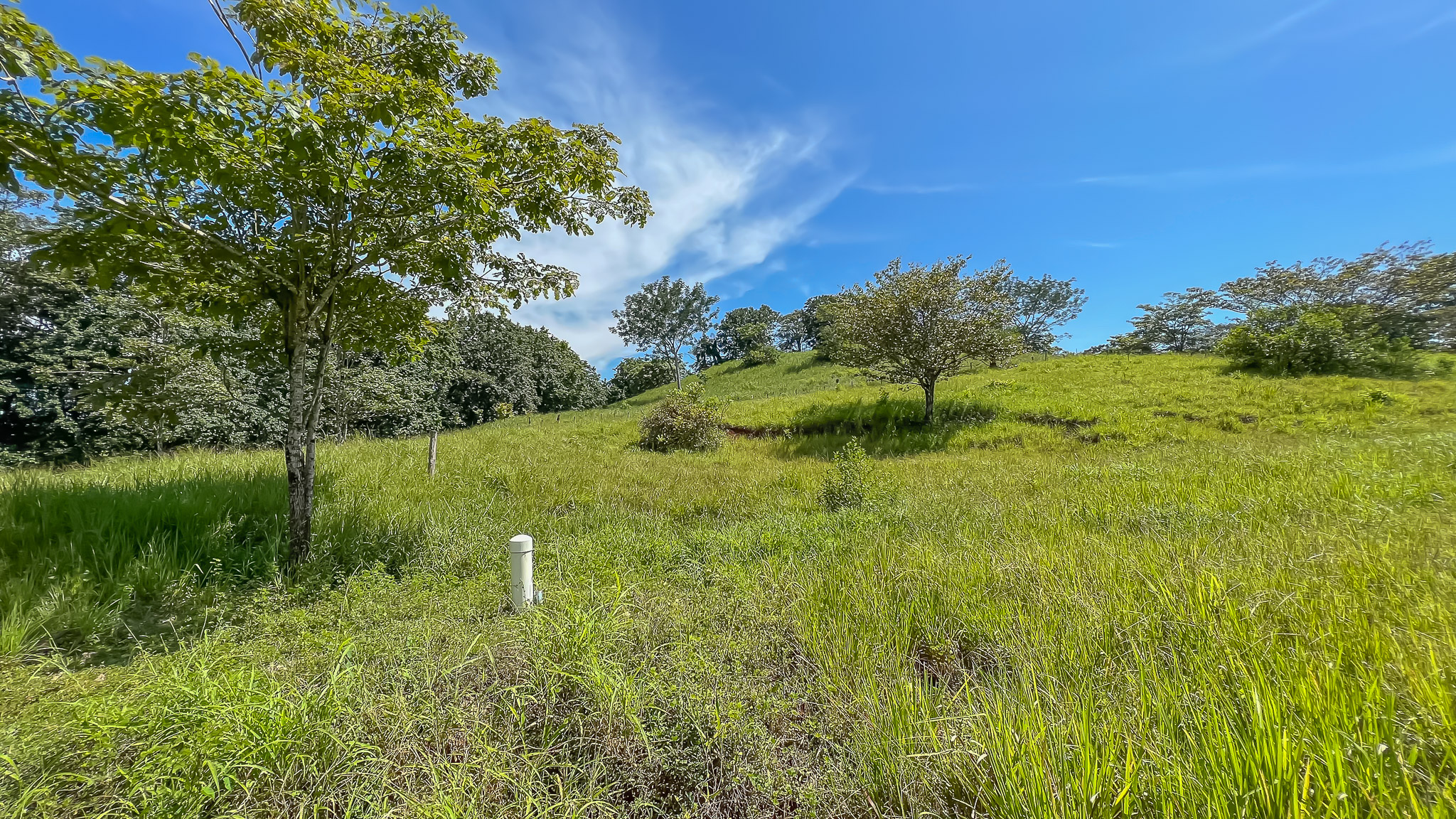 0 bed Land For Sale in Delicias, Puntarenas - thumb 21