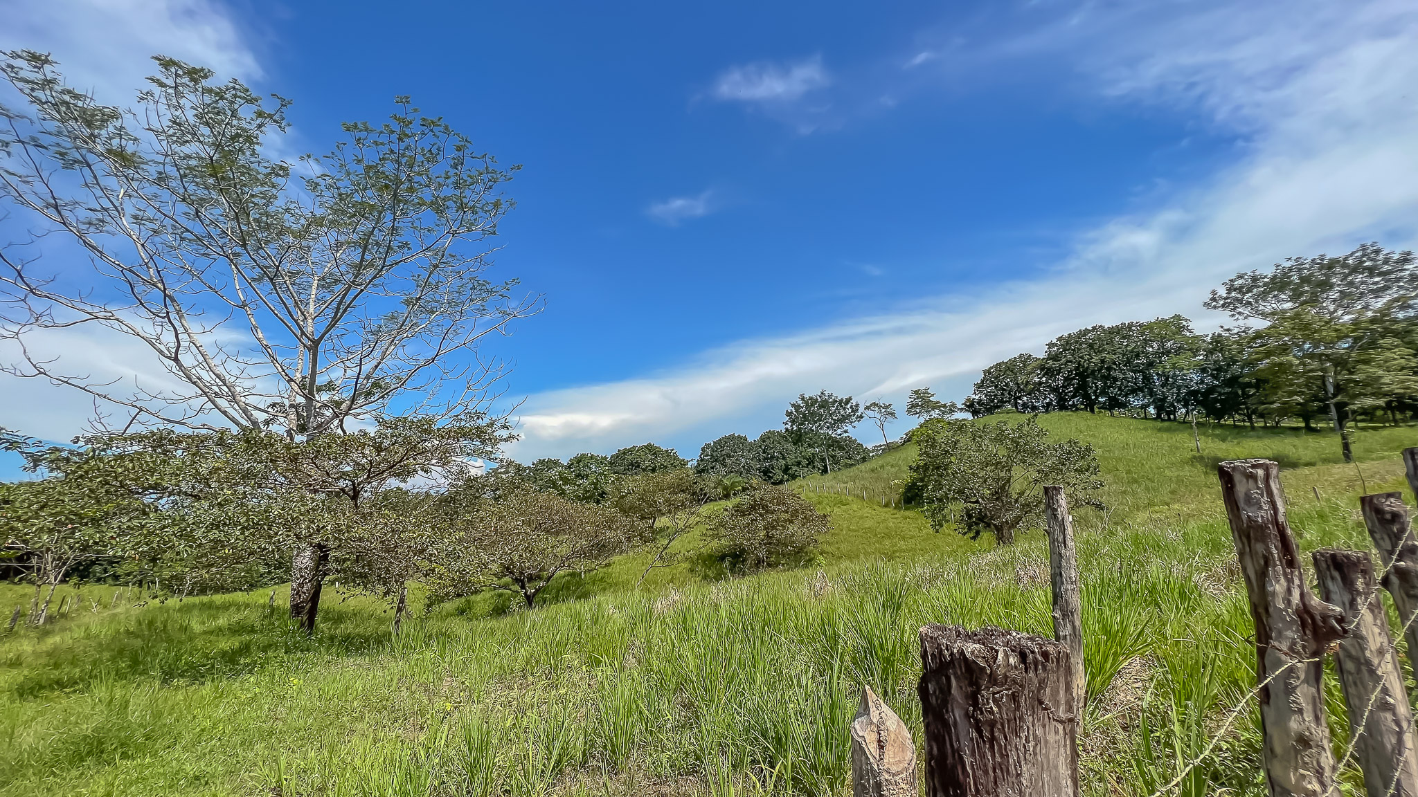 0 bed Land For Sale in Delicias, Puntarenas - thumb 14