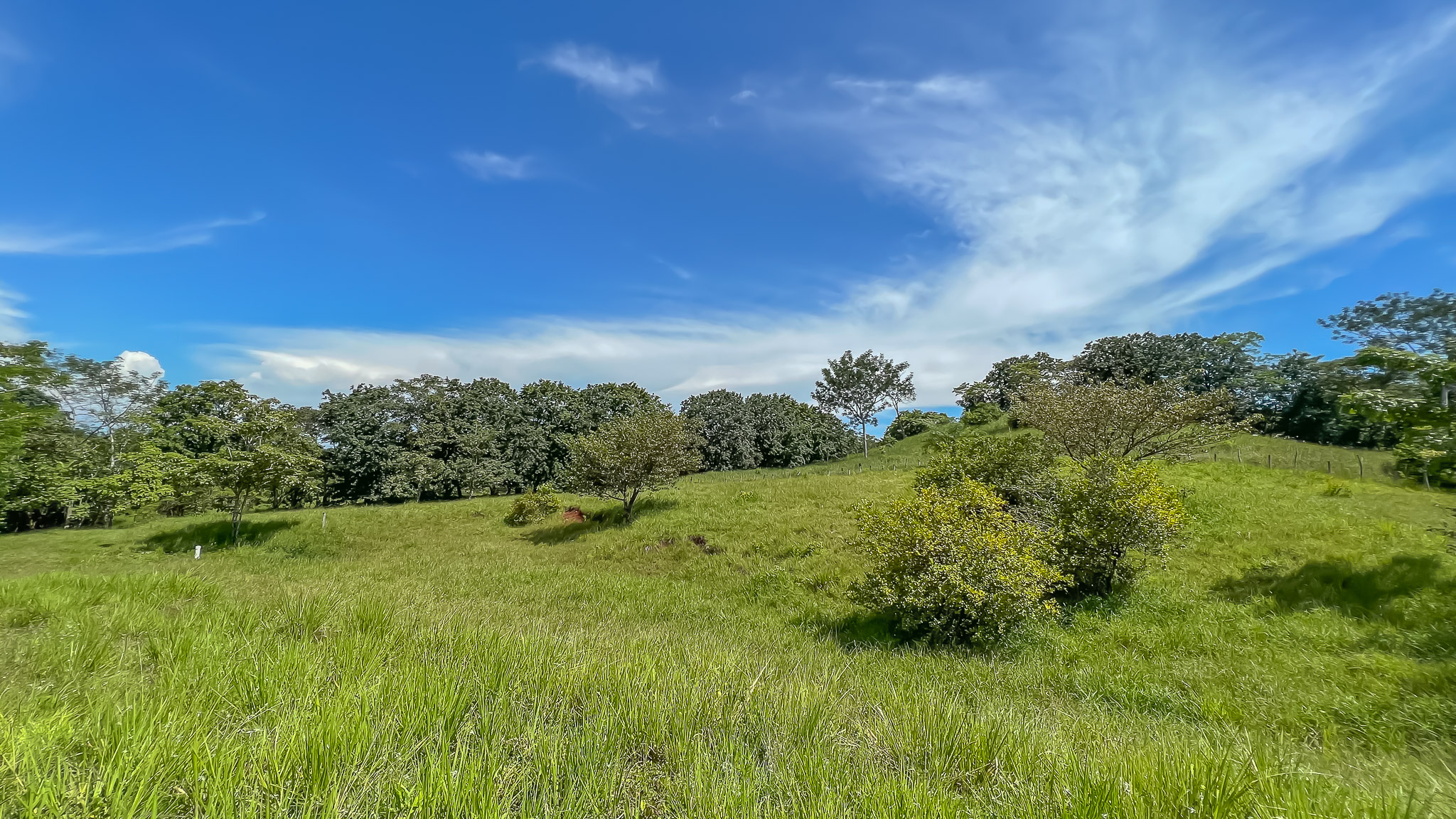 0 bed Land For Sale in Delicias, Puntarenas - thumb 7