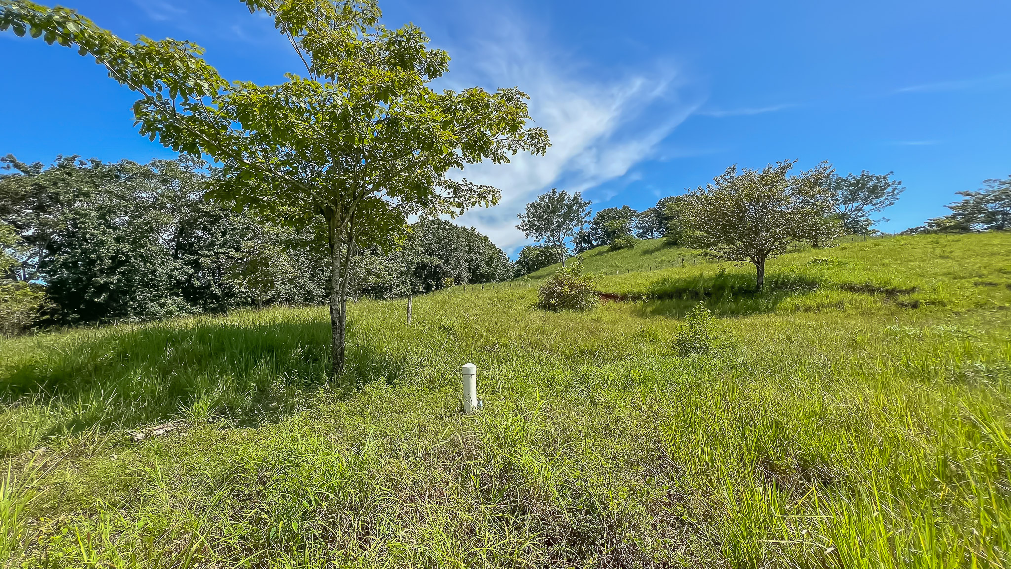 0 bed Land For Sale in Delicias, Puntarenas - thumb 2