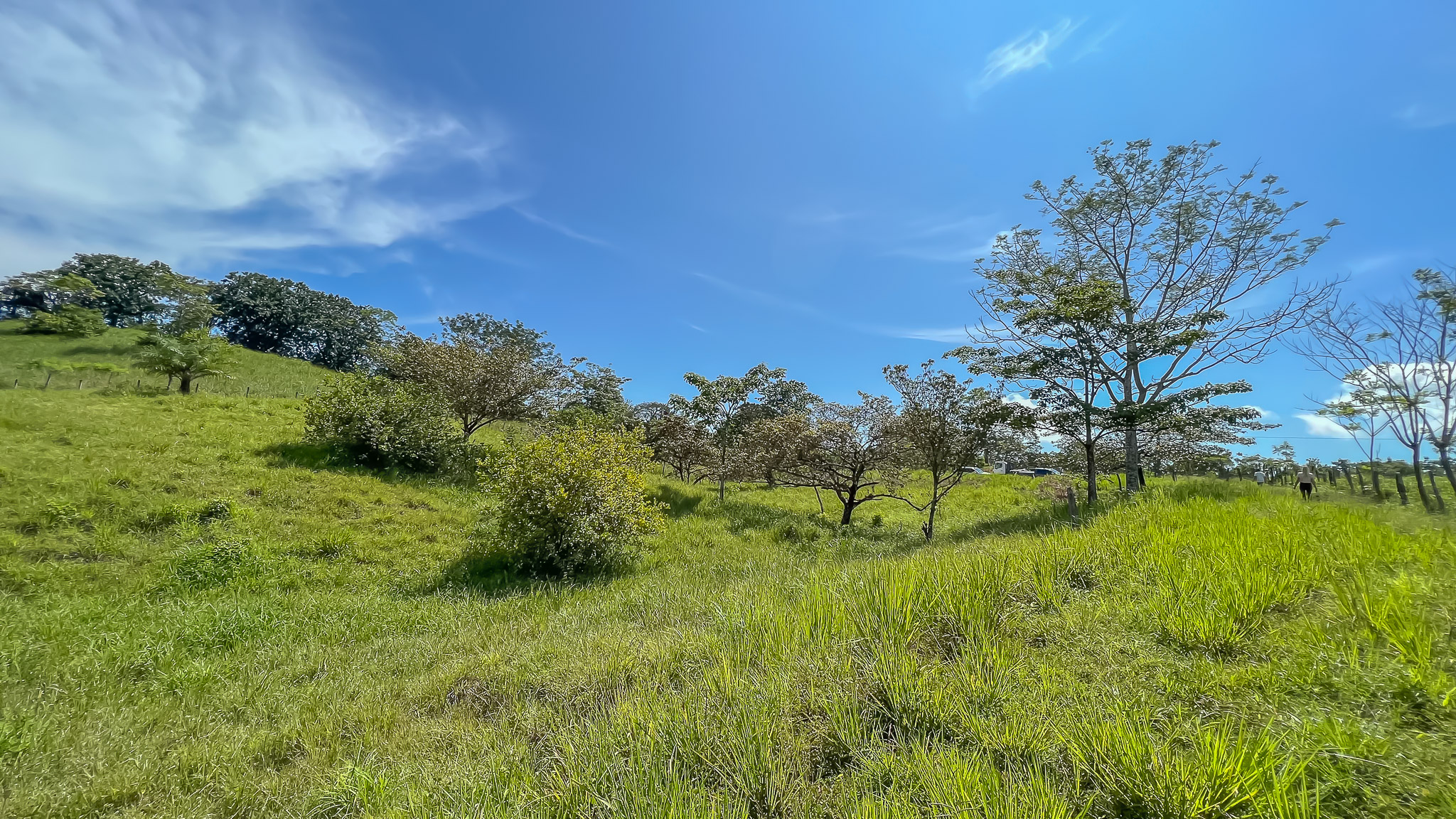0 bed Land For Sale in Delicias, Puntarenas - thumb 4