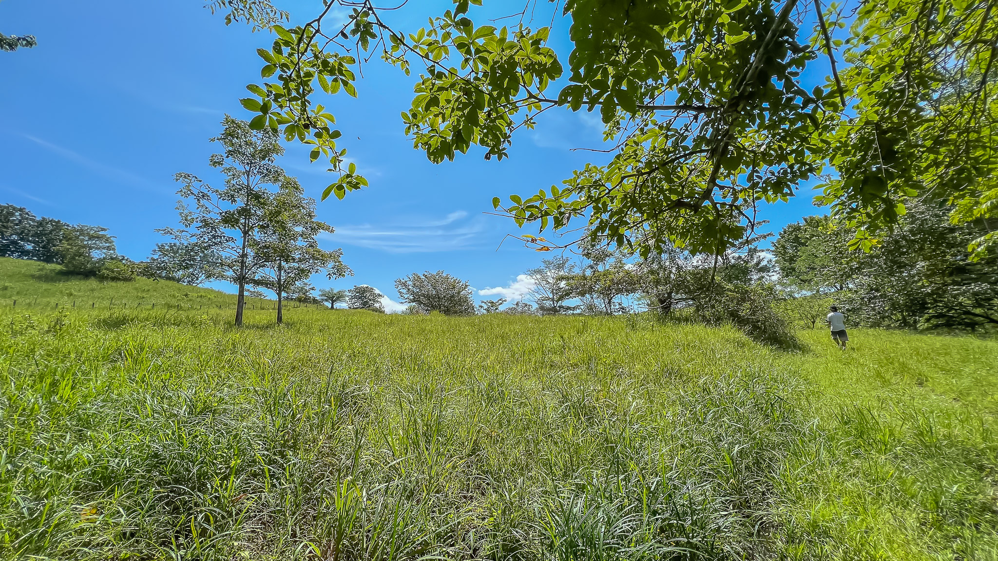 0 bed Land For Sale in Delicias, Puntarenas - thumb 17