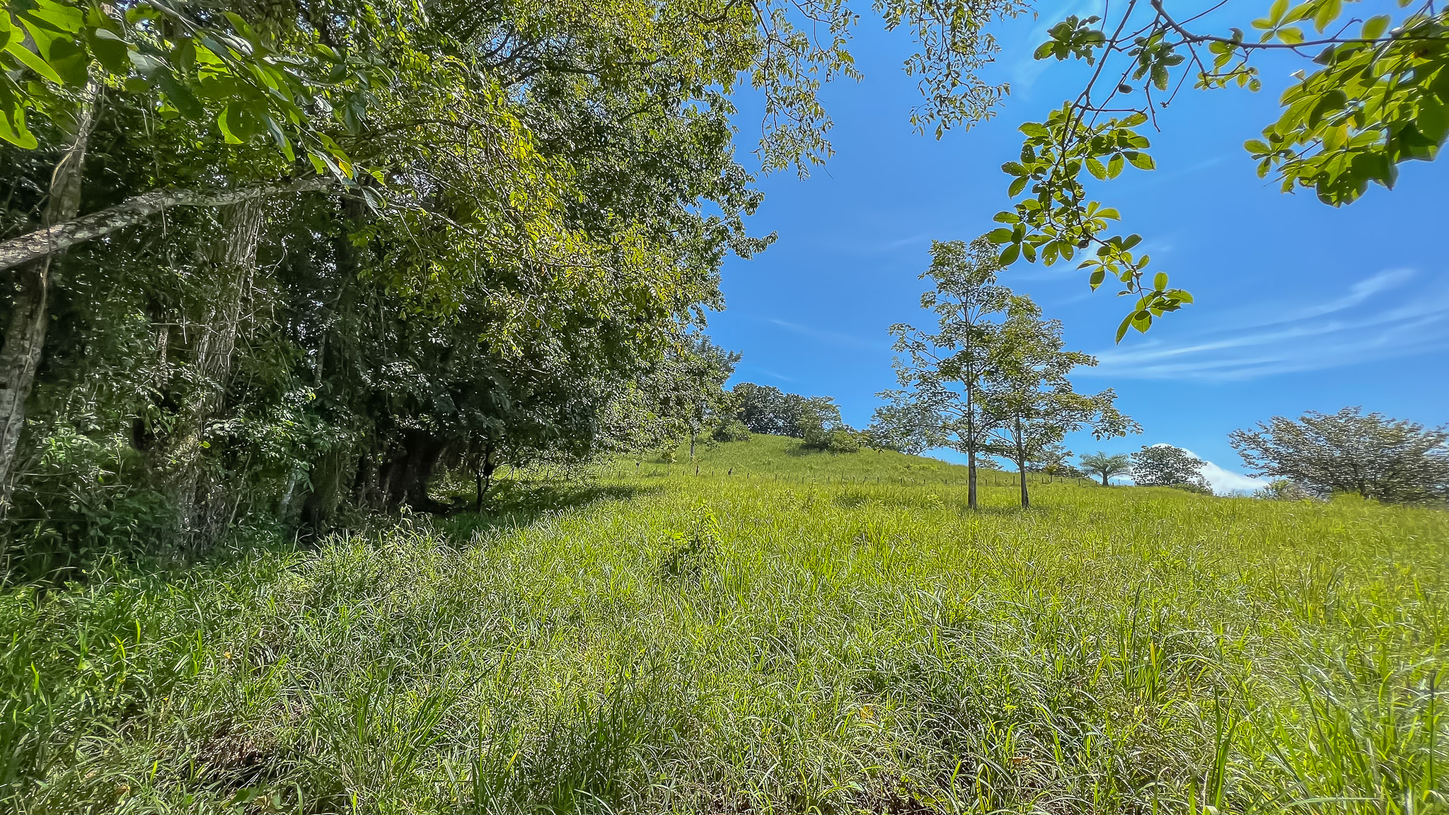 0 bed Land For Sale in Delicias, Puntarenas - thumb 22