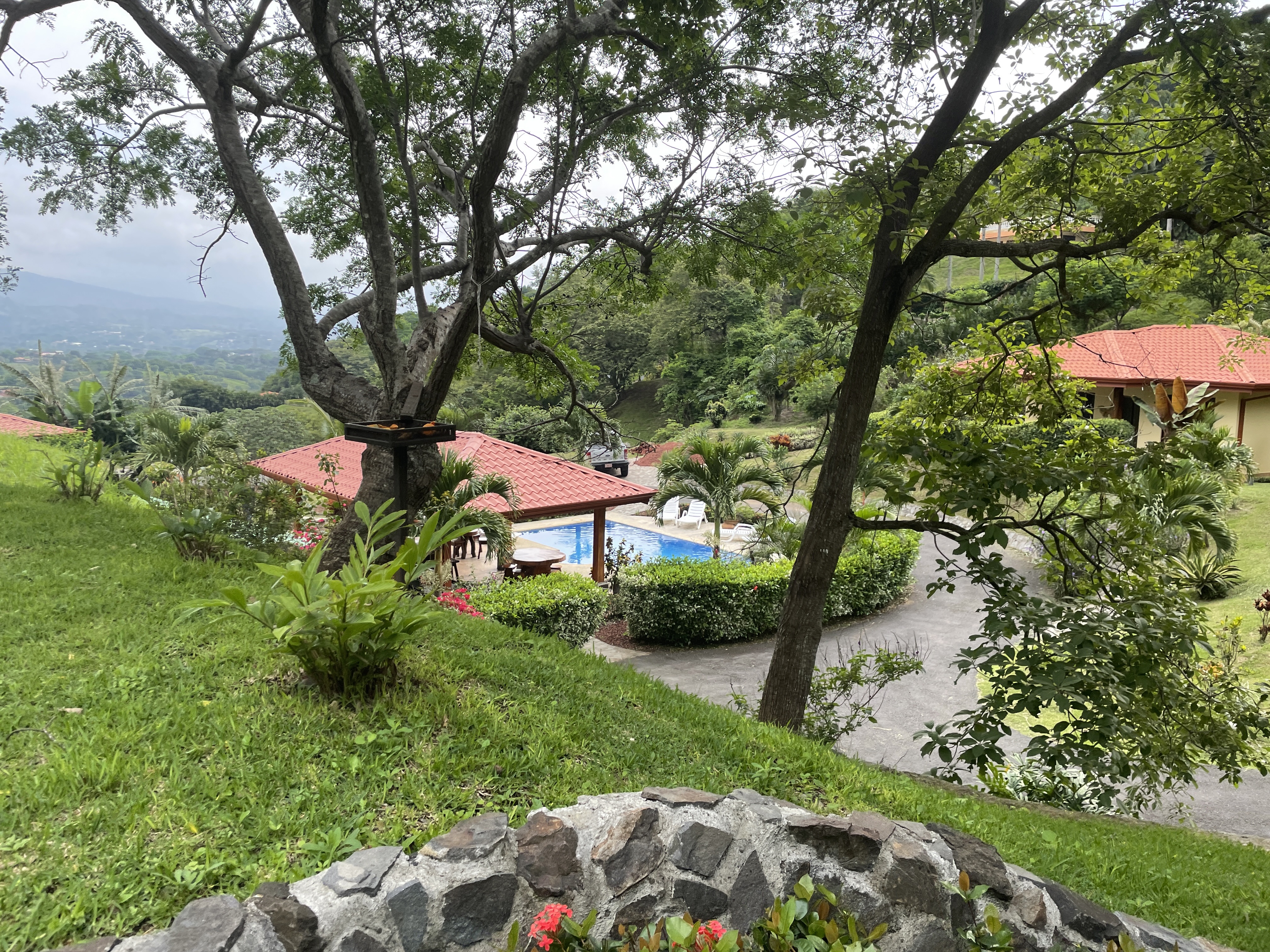 10 bed Single Family Homes For Sale in Atenas, Alajuela - thumb 8