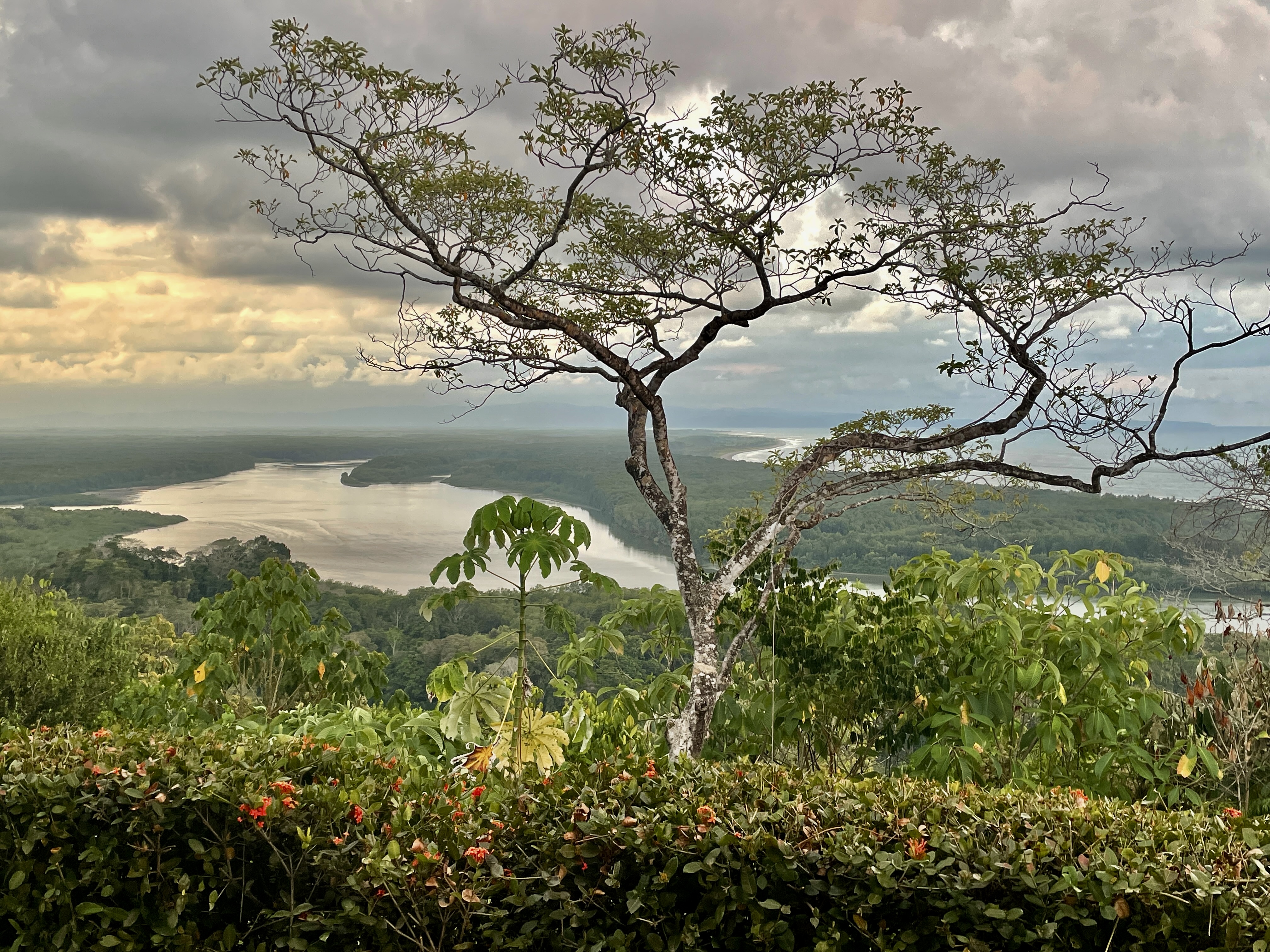 4 bed Single Family Homes For Sale in Ojochal, Puntarenas - thumb 14