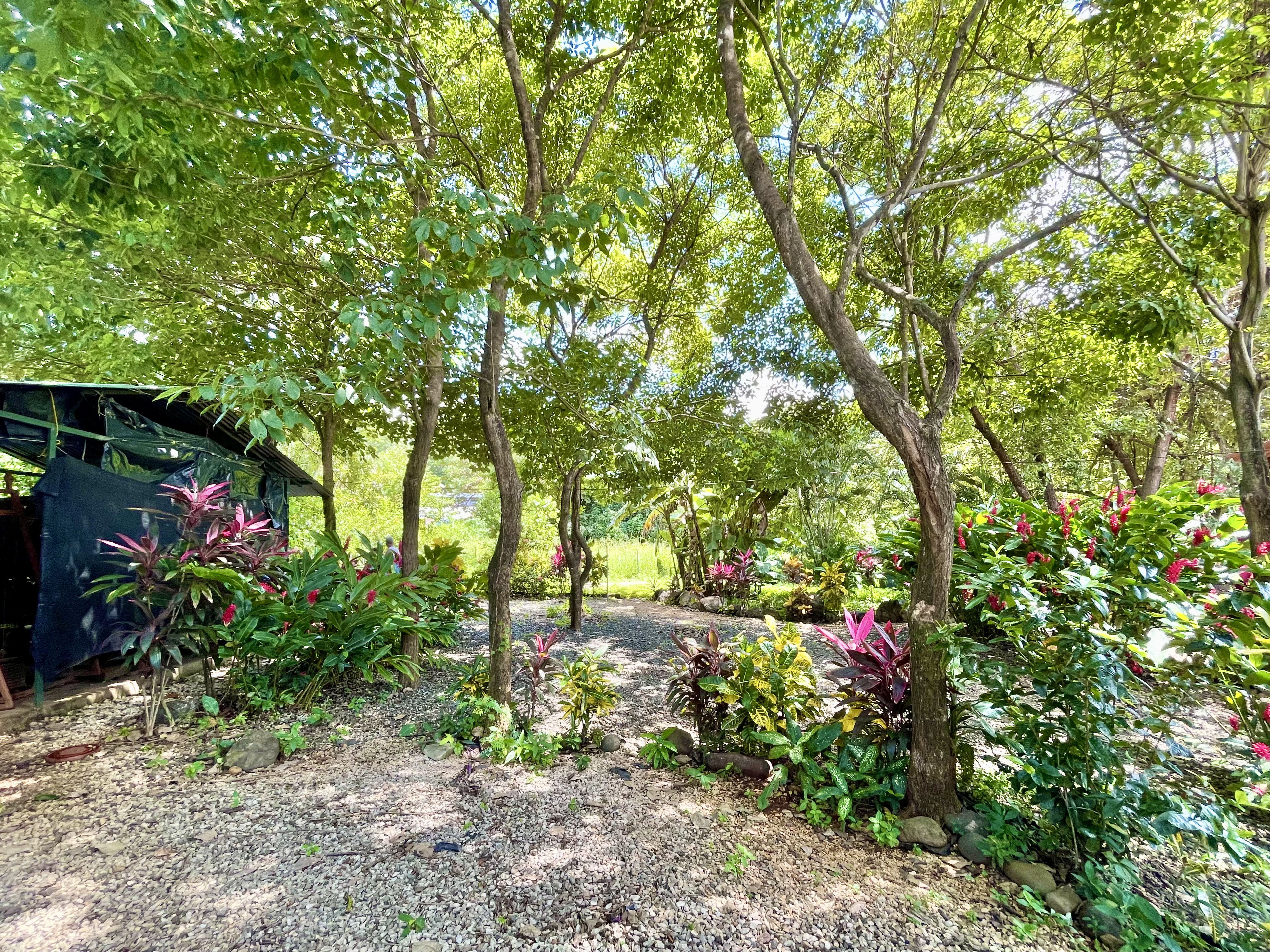 3 bed Single Family Homes For Sale in Playas Del Coco, Guanacaste - thumb 17