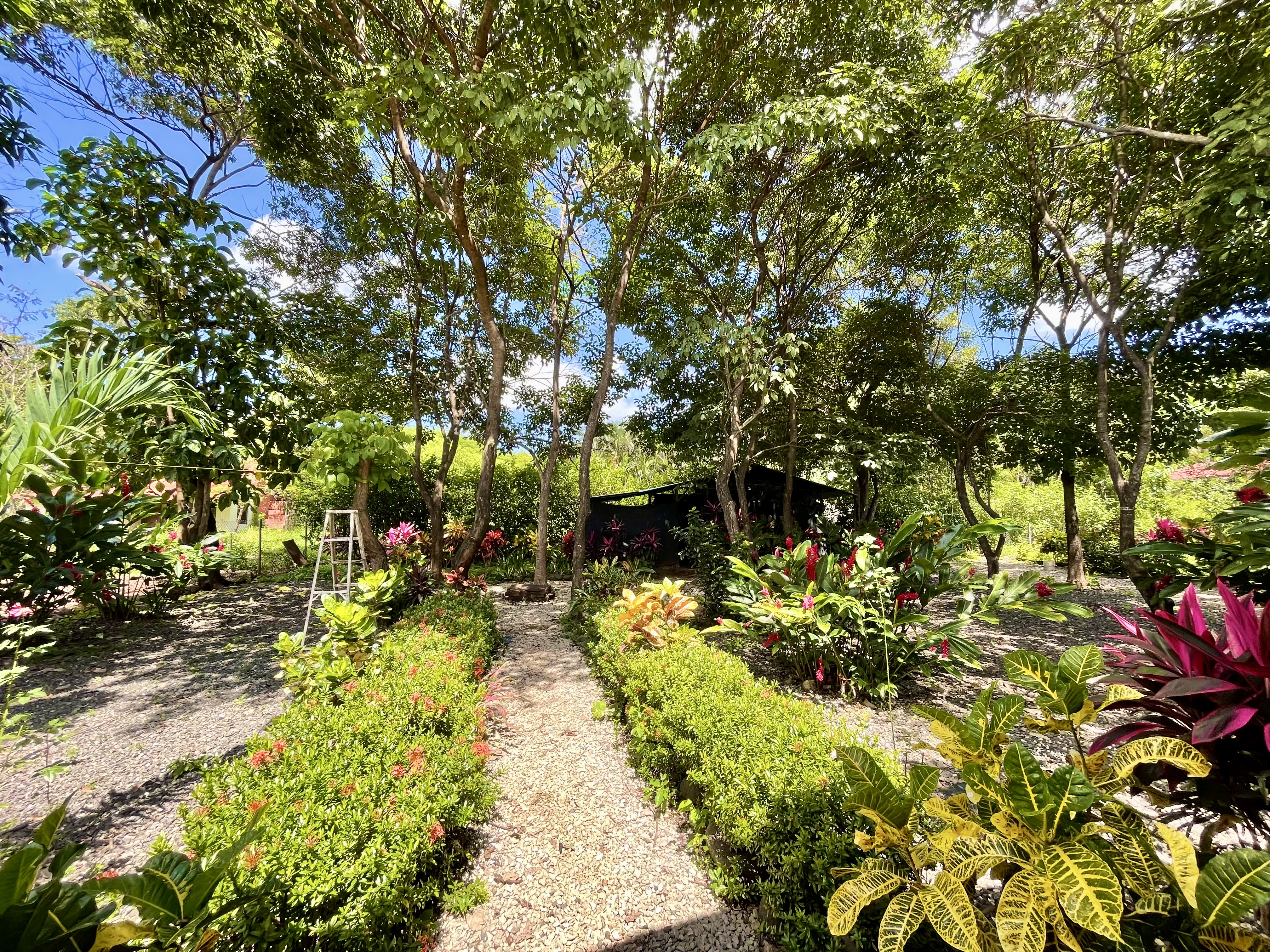 3 bed Single Family Homes For Sale in Playas Del Coco, Guanacaste - thumb 16