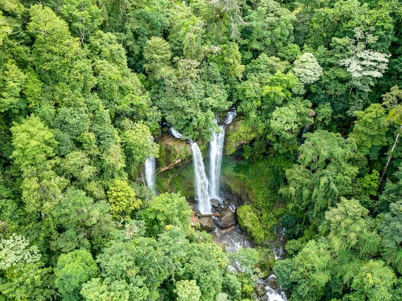 0 bed Land For Sale in Dominical, Puntarenas - 1