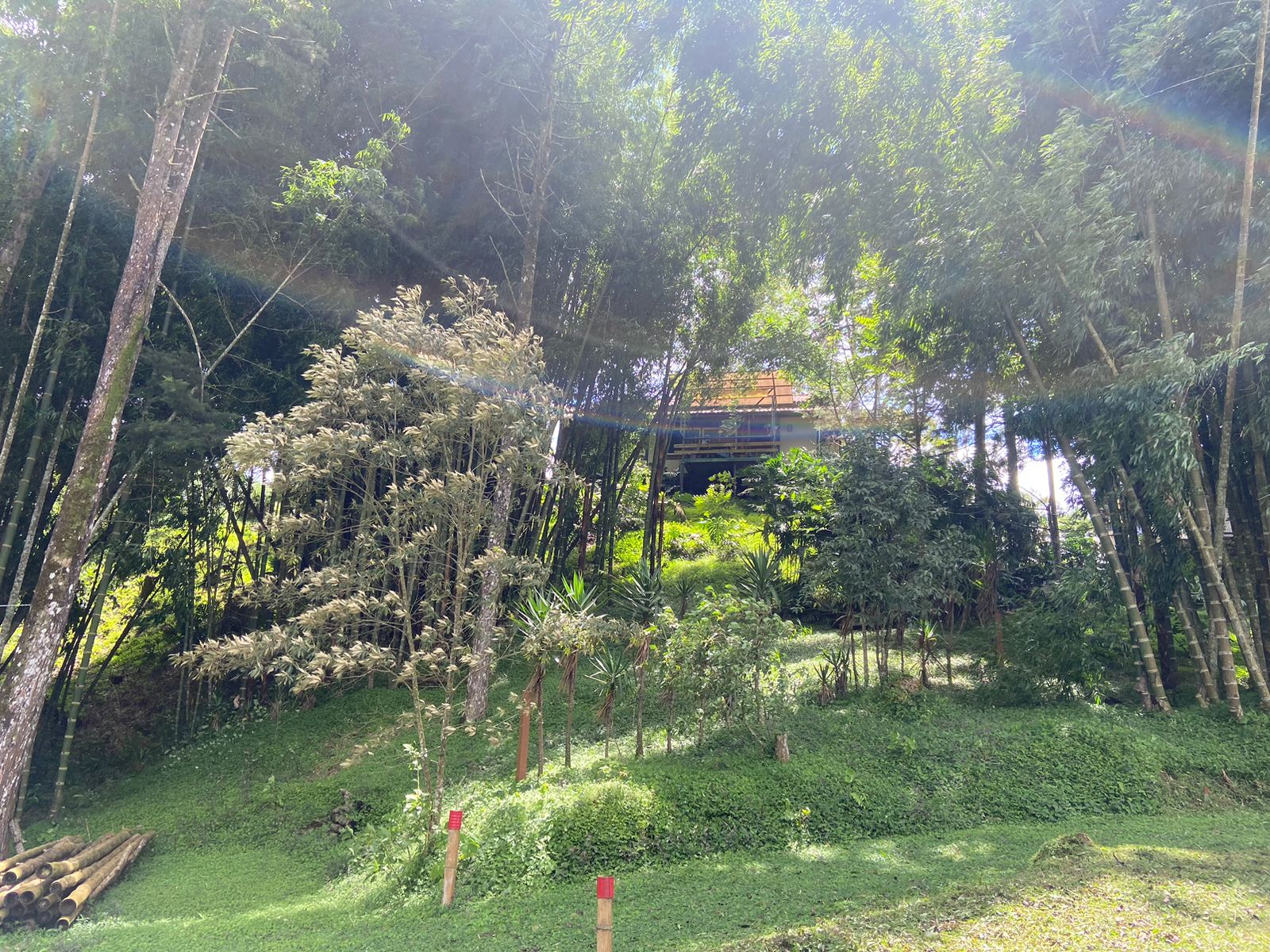 4 bed Land For Sale in Montes de Oca, San Jose - thumb 7