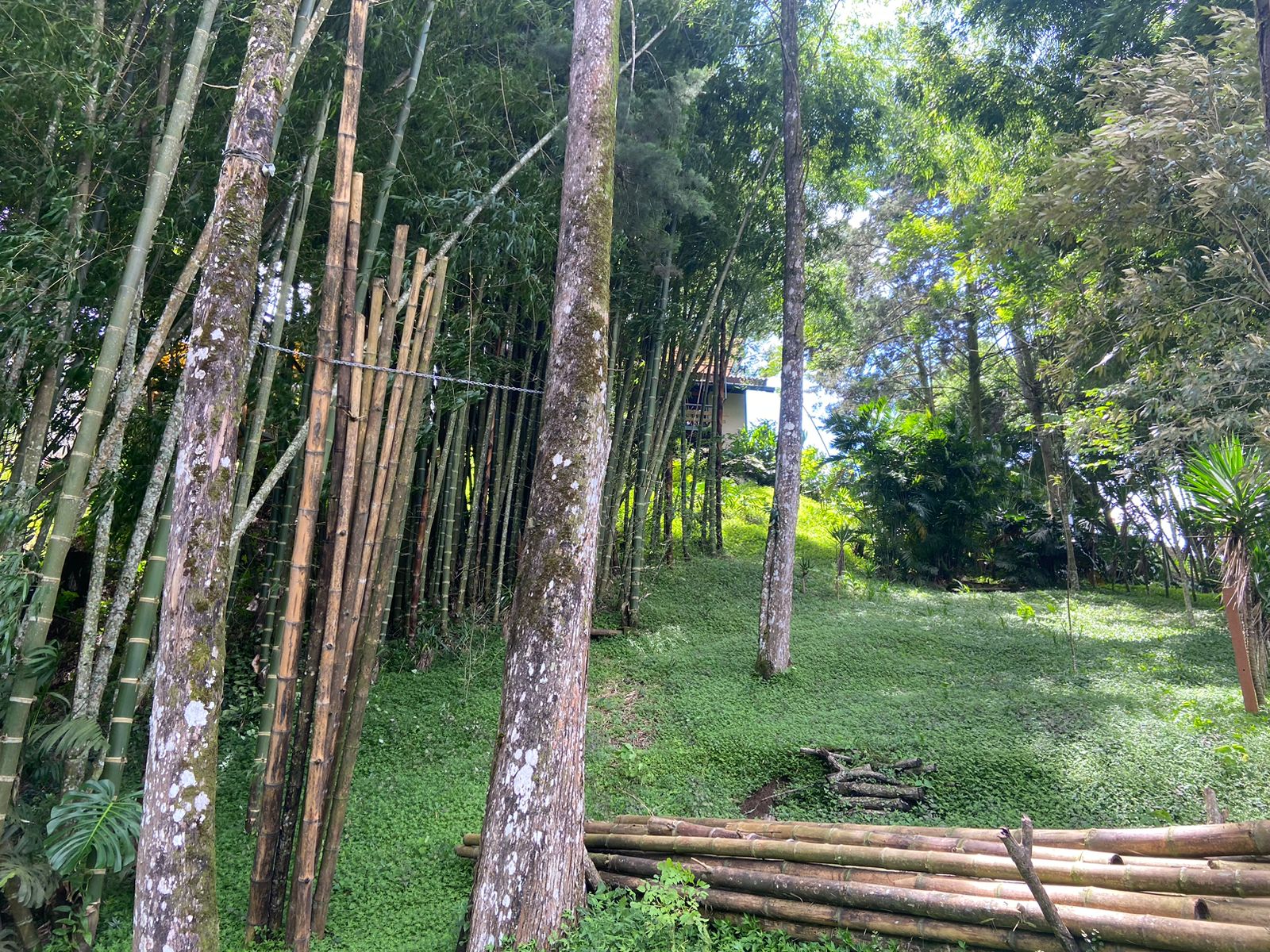 4 bed Land For Sale in Montes de Oca, San Jose - thumb 6