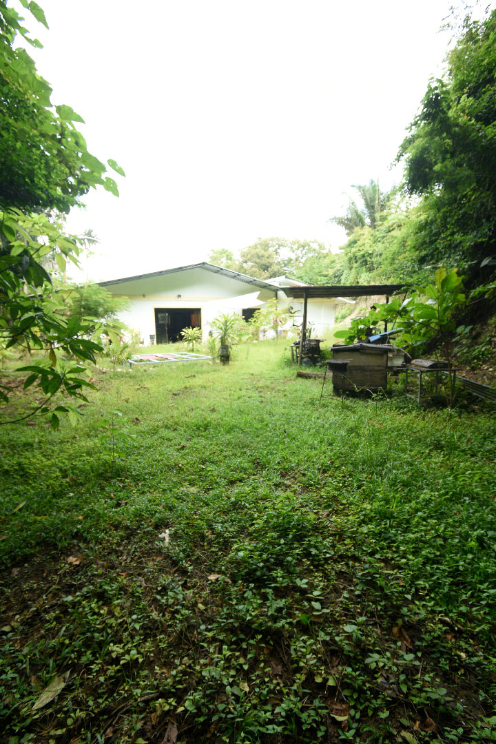 4 bed Single Family Homes For Sale in Samara, Guanacaste - thumb 8