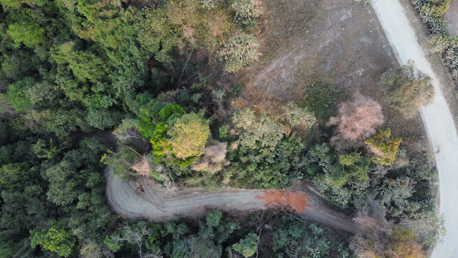 0 bed Land For Sale in Santiago, Puntarenas - thumb 5