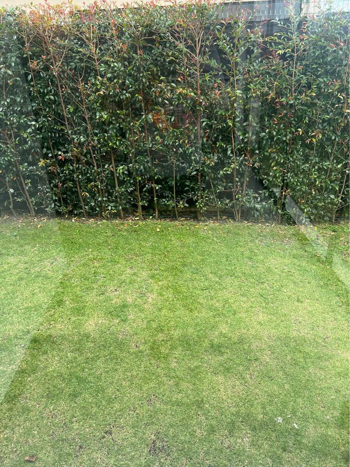 3 bed Condo For Rent in San Isidro, Heredia - thumb 5